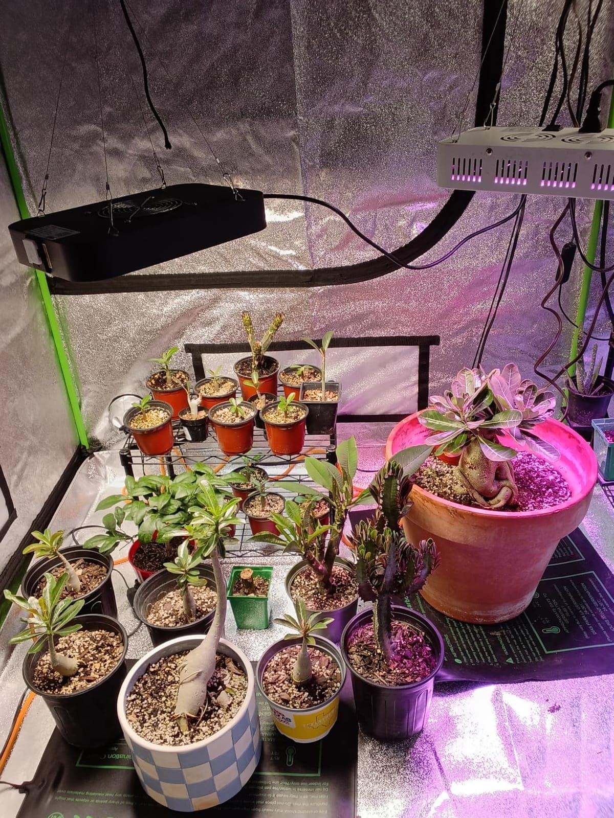 Grow Tent for Indoor Plant Growing Dismountable Reflective Hydroponic Non Toxic Room (32
