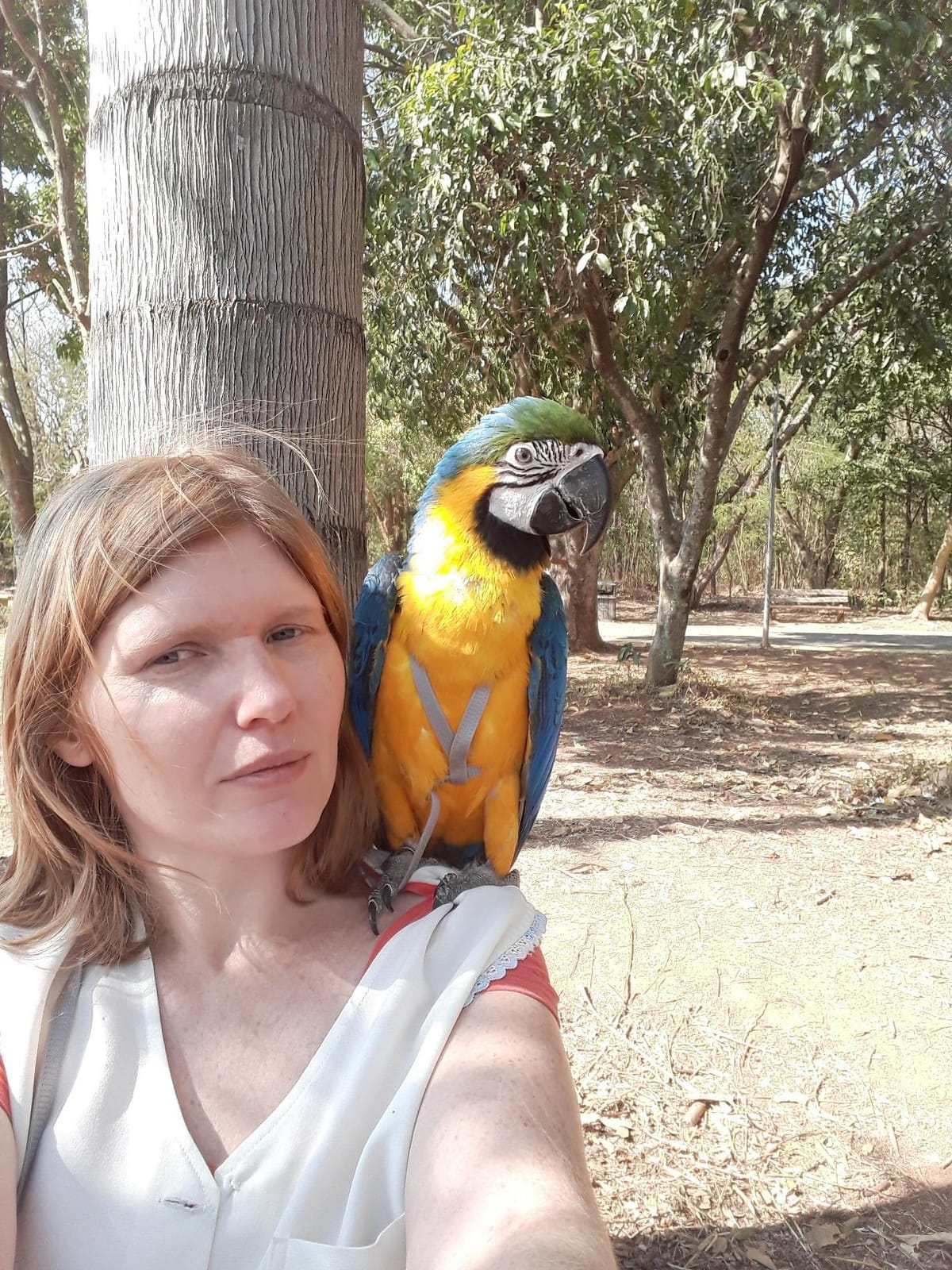 The Aviator Bird Harness Leash Extension: 20 Foot/7 Meter for Small to XX-Lar. customer photo 2