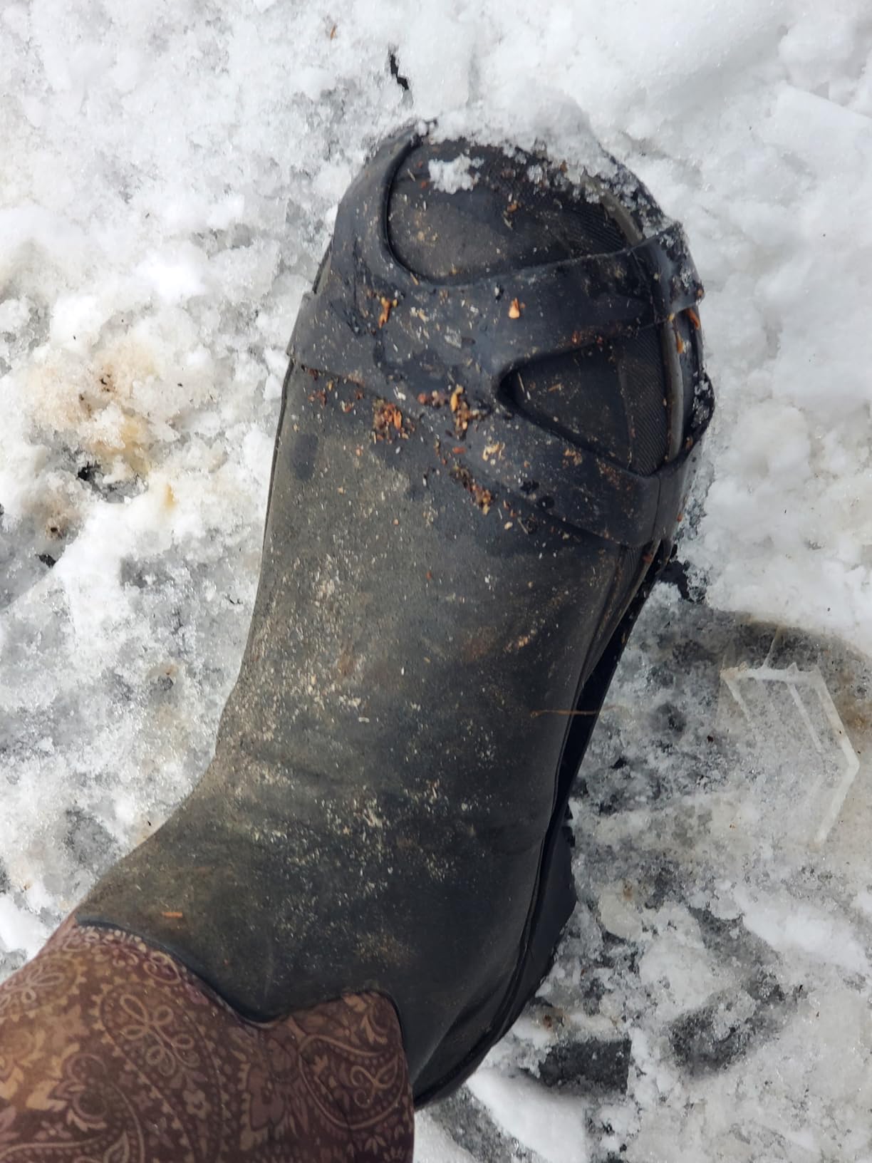 Limm Ice Snow Traction Cleats - Lightweight Crampon Cleats for Walking on Snow & Ice - Anti Slip Grippers Fasten Quickly & Easily Over Footwear - Protable Grips for Shoes and Boots customer photo 1