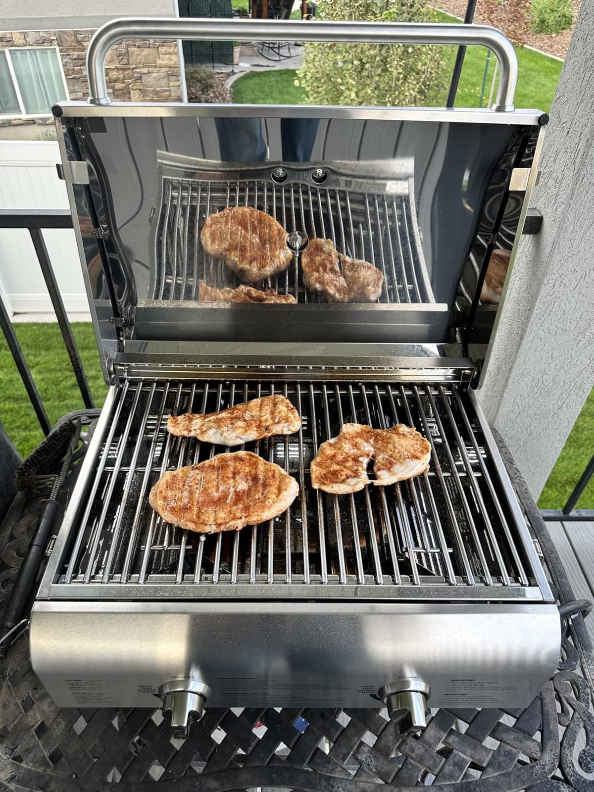 Pit Boss Grills 75275 Stainless Steel Two-Burner Portable Grill customer photo 2