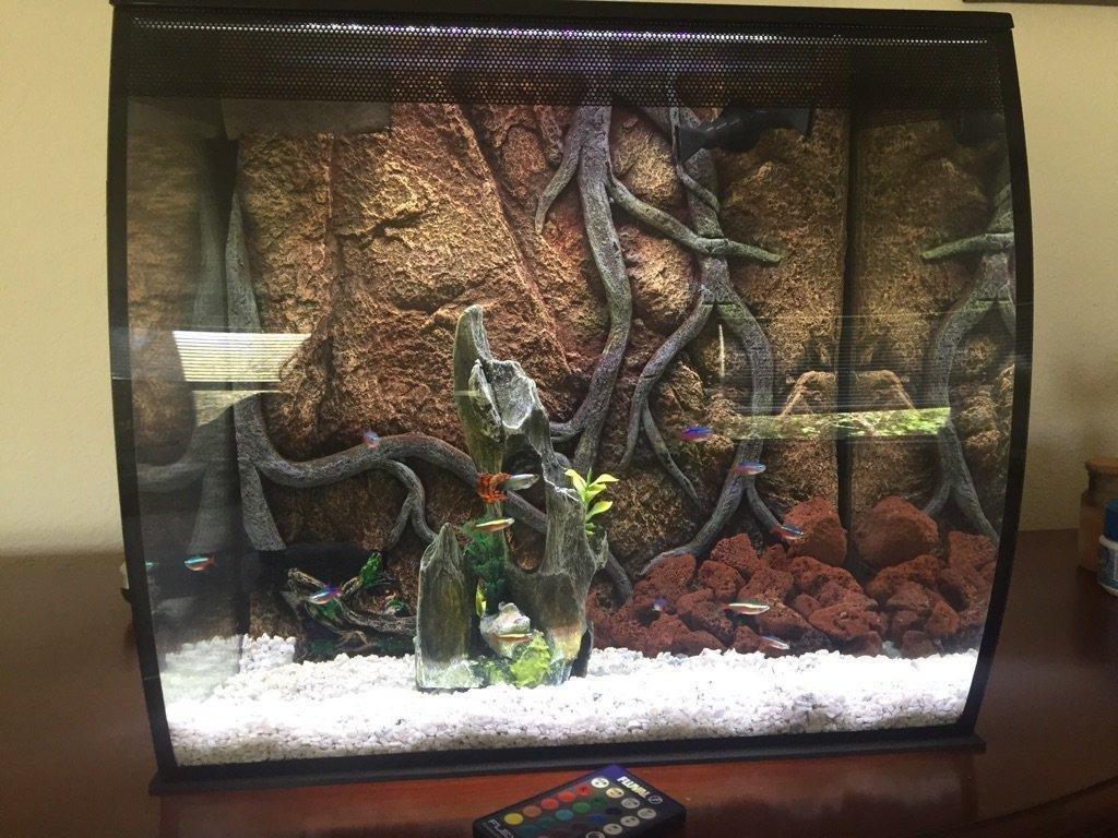 Fluval Flex 57 - 15 Gallon Nano Glass Aquarium Kit customer photo 1
