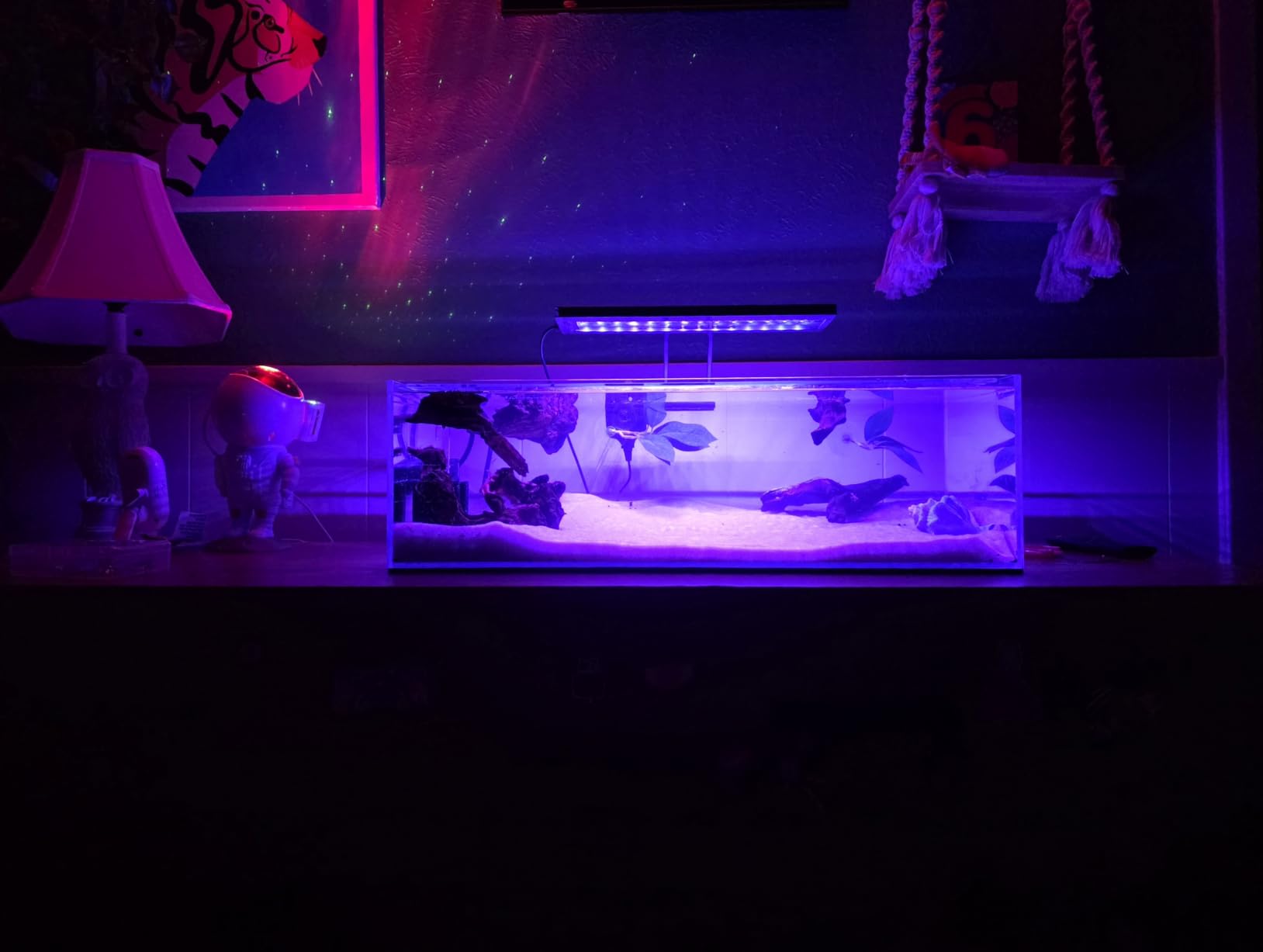 LANDEN 90P 55 Gallon Rimless Low Iron Aquarium Tank,W35.4×D19.7×H19.7 in(90x50x50cm) 10mm Thickness with Black Nano Foam Leveling mat Included customer photo 1
