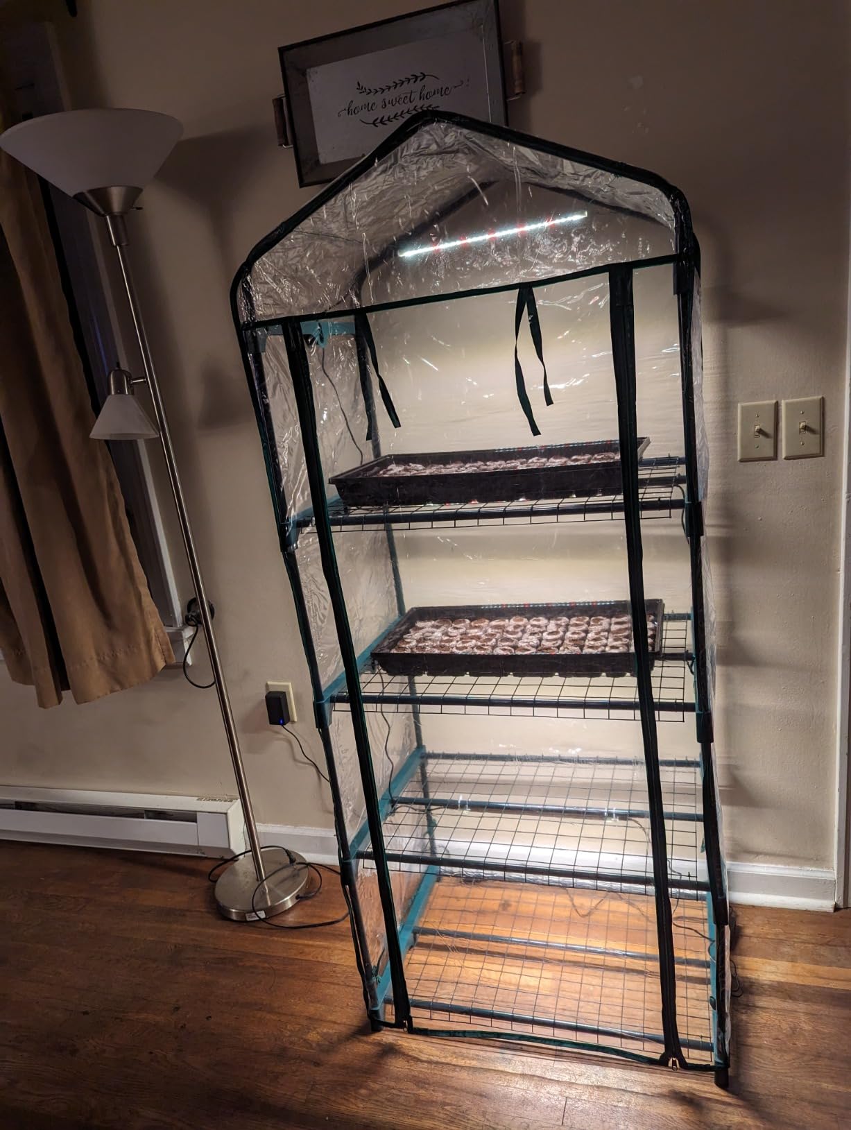 Worth Garden 4 Tier Mini Greenhouse - 63'' H x 27'' L x 19'' W - Sturdy Portable Gardening Shelves with PVC Cover - Small Green House Use in Indoor & Outdoor for Plants Flowers customer photo 1
