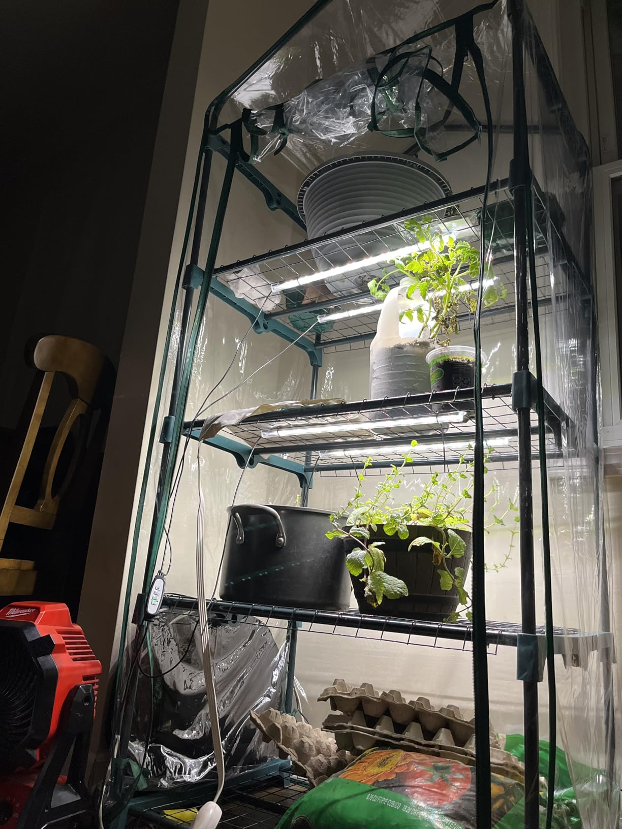 Worth Garden 4 Tier Mini Greenhouse - 63'' H x 27'' L x 19'' W - Sturdy Portable Gardening Shelves with PVC Cover - Small Green House Use in Indoor & Outdoor for Plants Flowers customer photo 2