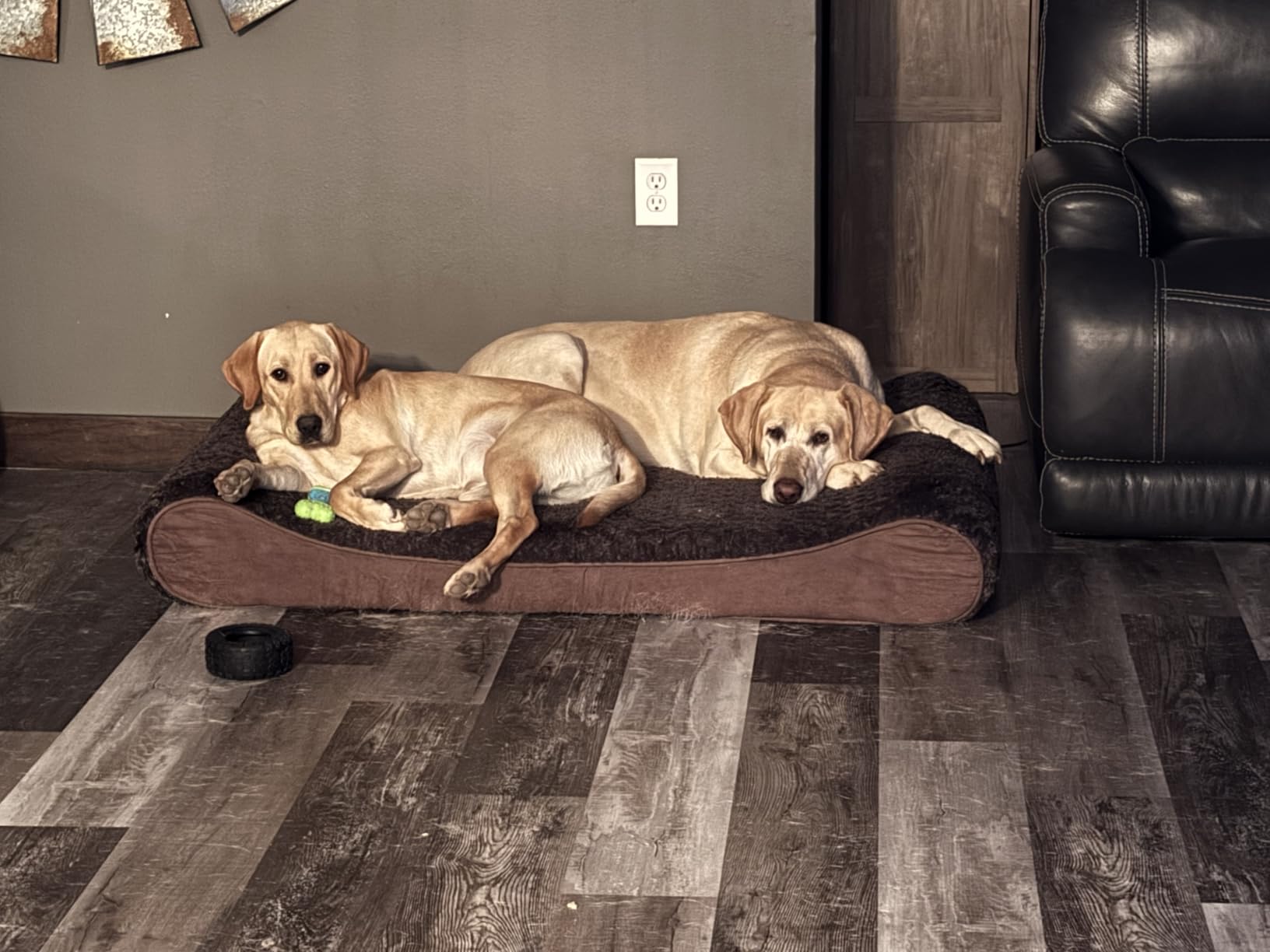 FurHaven Orthopedic Dog Bed for Large Dogs, Luxe Lounger Contour Mattress with Solid Orthopedic Foam Slab for Joint Support, Removable Washable Cover, Jumbo XL, Plush Suede, Chocolate customer photo 1