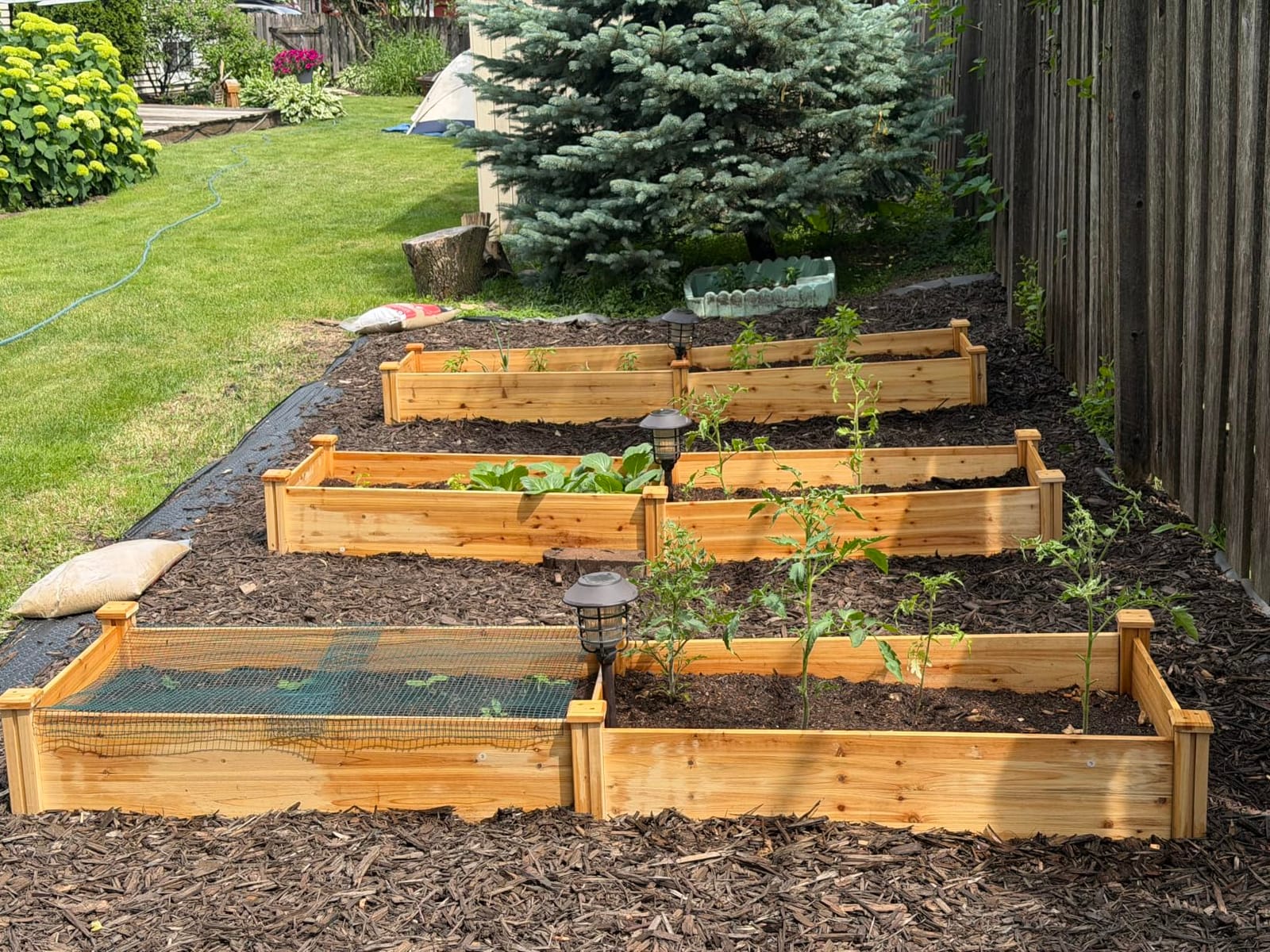 Yaheetech Wooden Raised Garden Bed Outdoor Planter Box, Wood customer photo 1