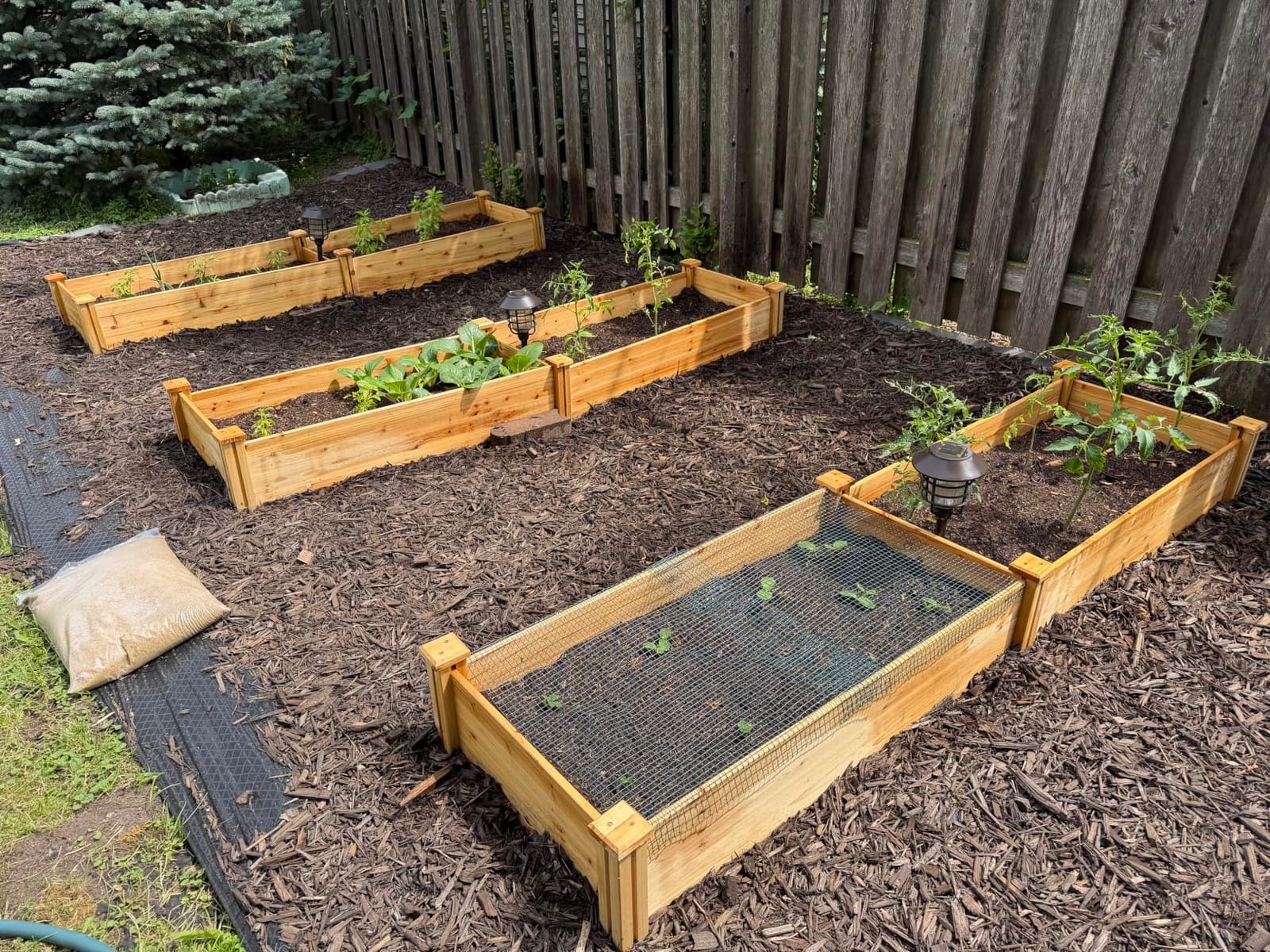 Yaheetech Wooden Raised Garden Bed Outdoor Planter Box, Wood customer photo 2