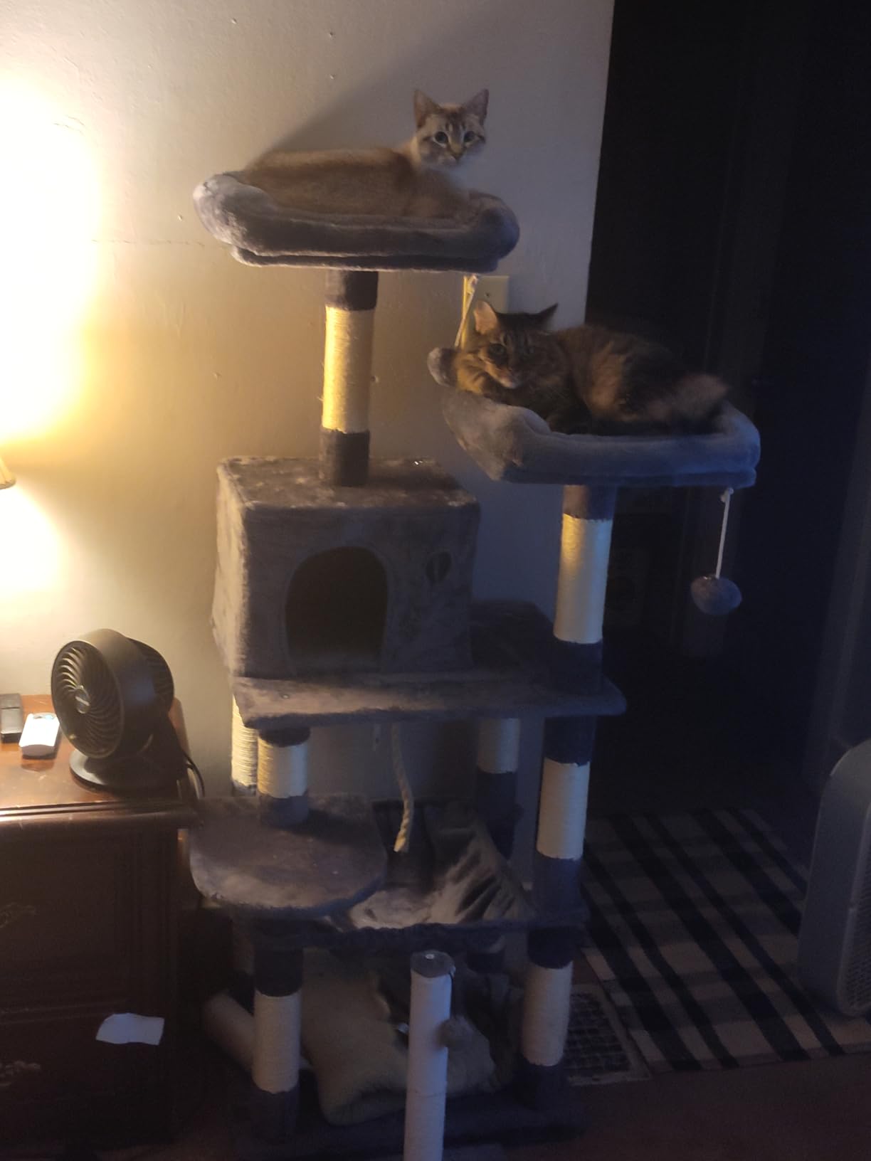 Feandrea Cat Tree, 55.8-Inch Large Cat Tower, Multi-Level Condo, Light Gray customer photo 1