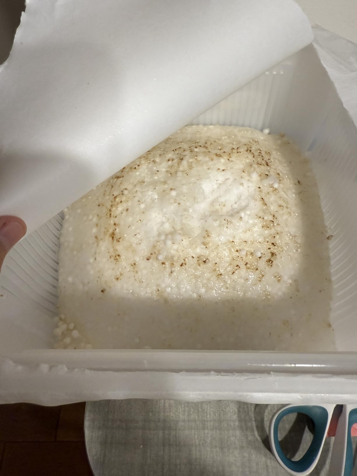 Camco Moisture Absorber Bucket - Features Fast-Acting Moisture-Absorbing Agent - No-Fragrance Beads – Use with RV Storage, Camper Organization & More (44282) customer photo 2