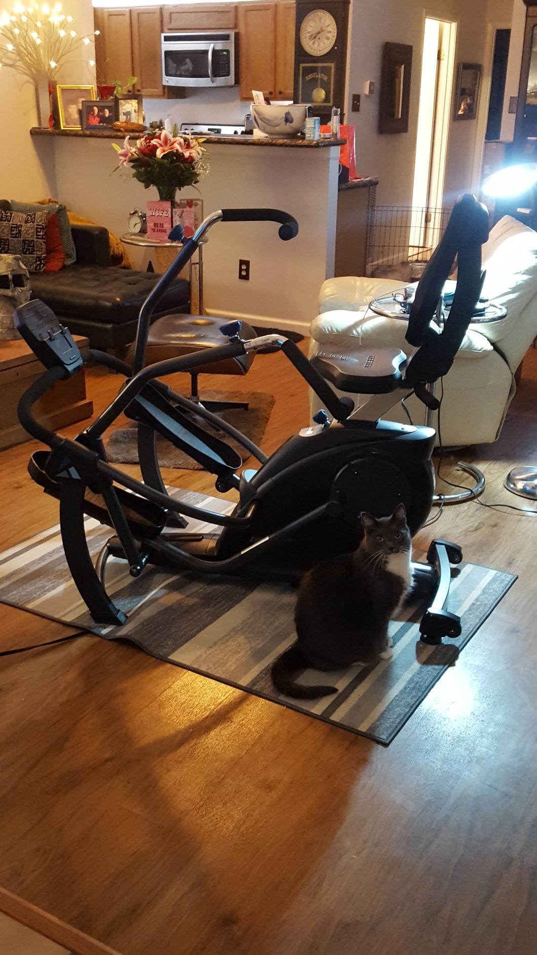 Teeter FreeStep Recumbent Cross Trainer Stepper, Zero-Impact Exercise Bike Alternative w/Patented Physical Therapy Stride, Up to 350lb, Free App w/Trainer Workouts customer photo 2