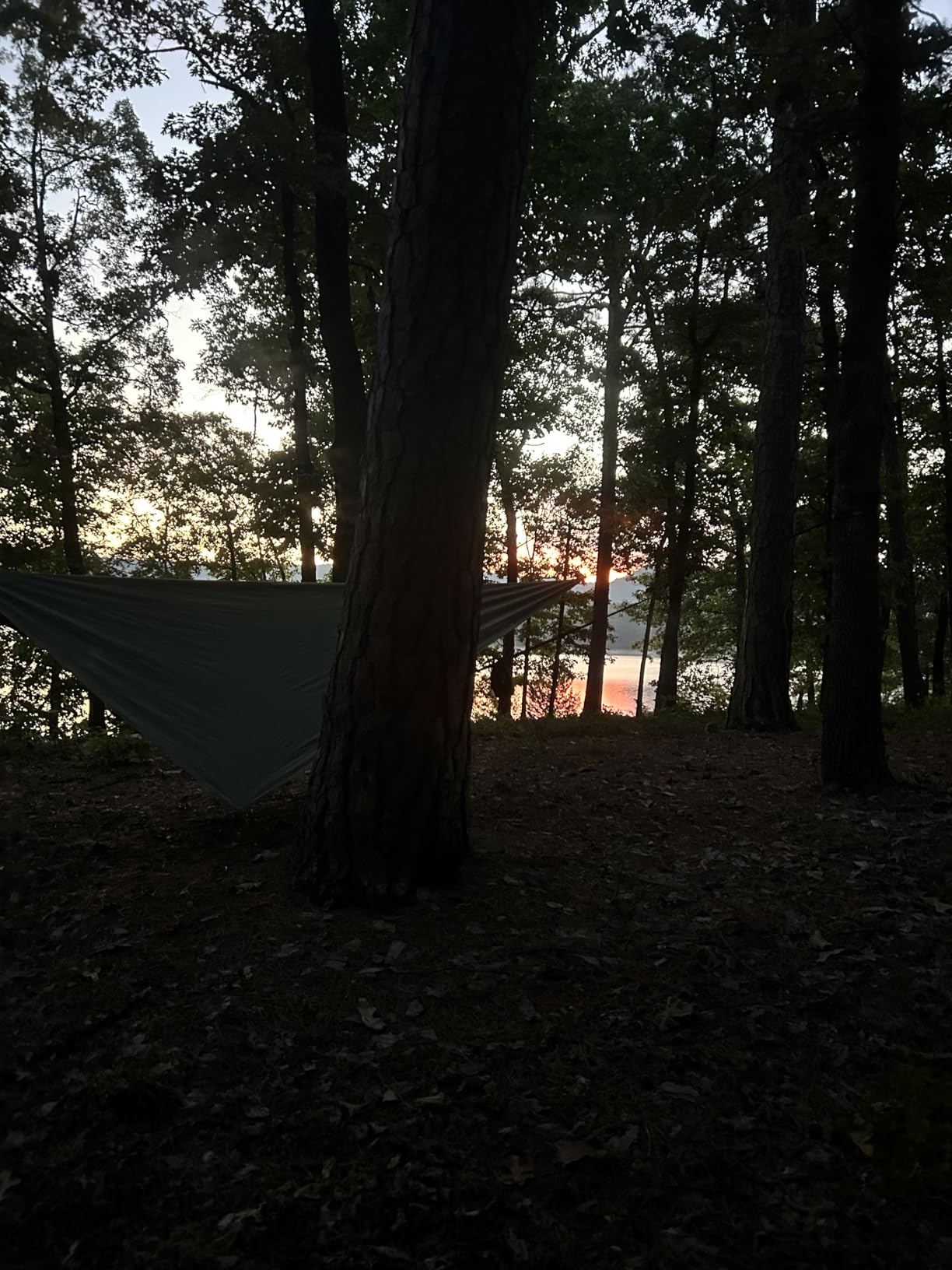 G4Free Large Camping Hammock for Outside with Mosquito Net 2 People Hammock | Up to 440lb Portable Hammock Durable Nylon with Bug Net, Tree Straps, Tent Tarp for Outdoor Hiking Camping Backpacking Travel customer photo 1