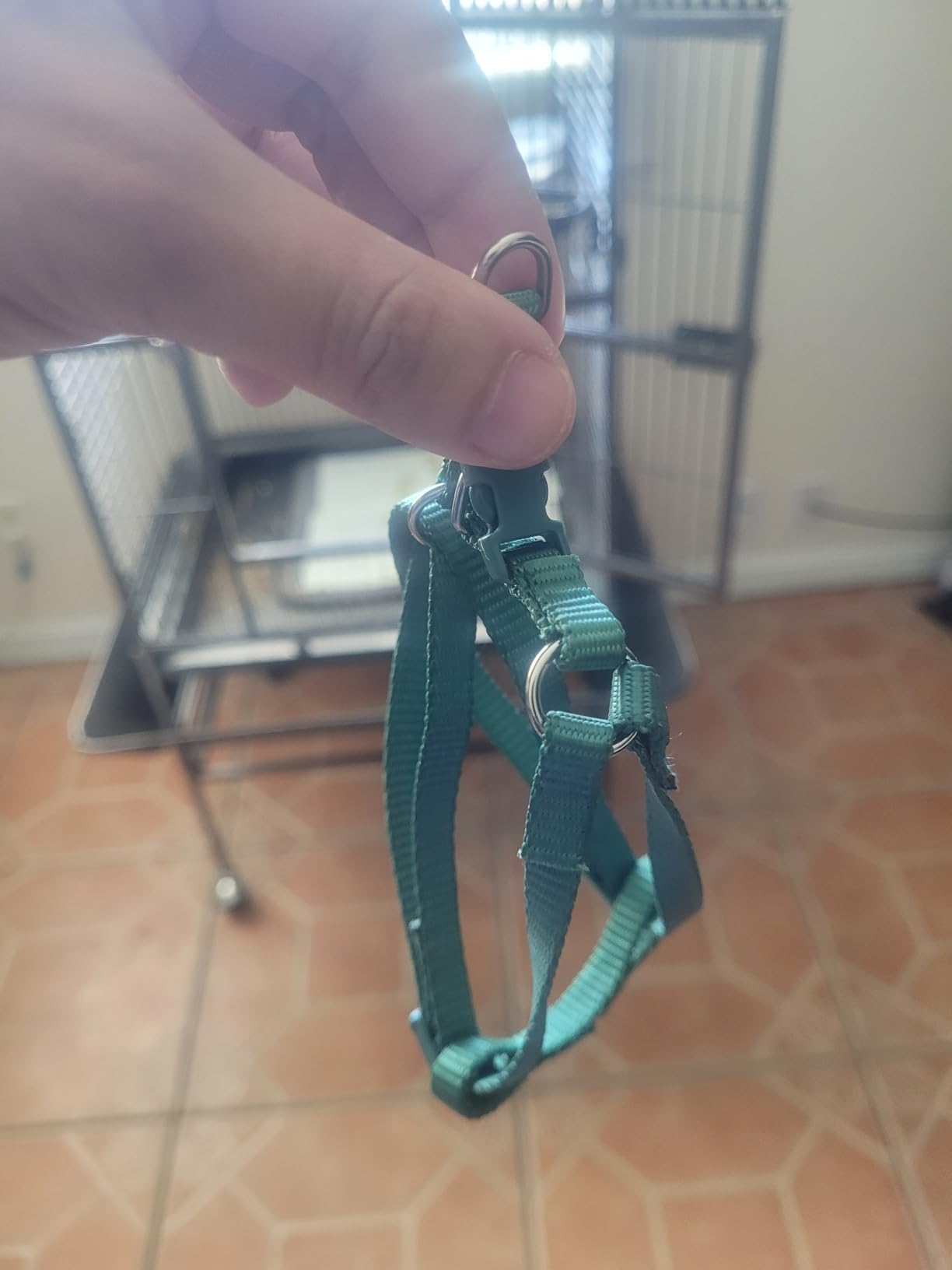 Adjustable Bird Harness and Leash for Yellow Naped Amazons Galah Cockatoos | Small to Medium Breed Parrots, Fits Birds Chest Between 26-40cm / 10.24-15.75inch - S customer photo 1