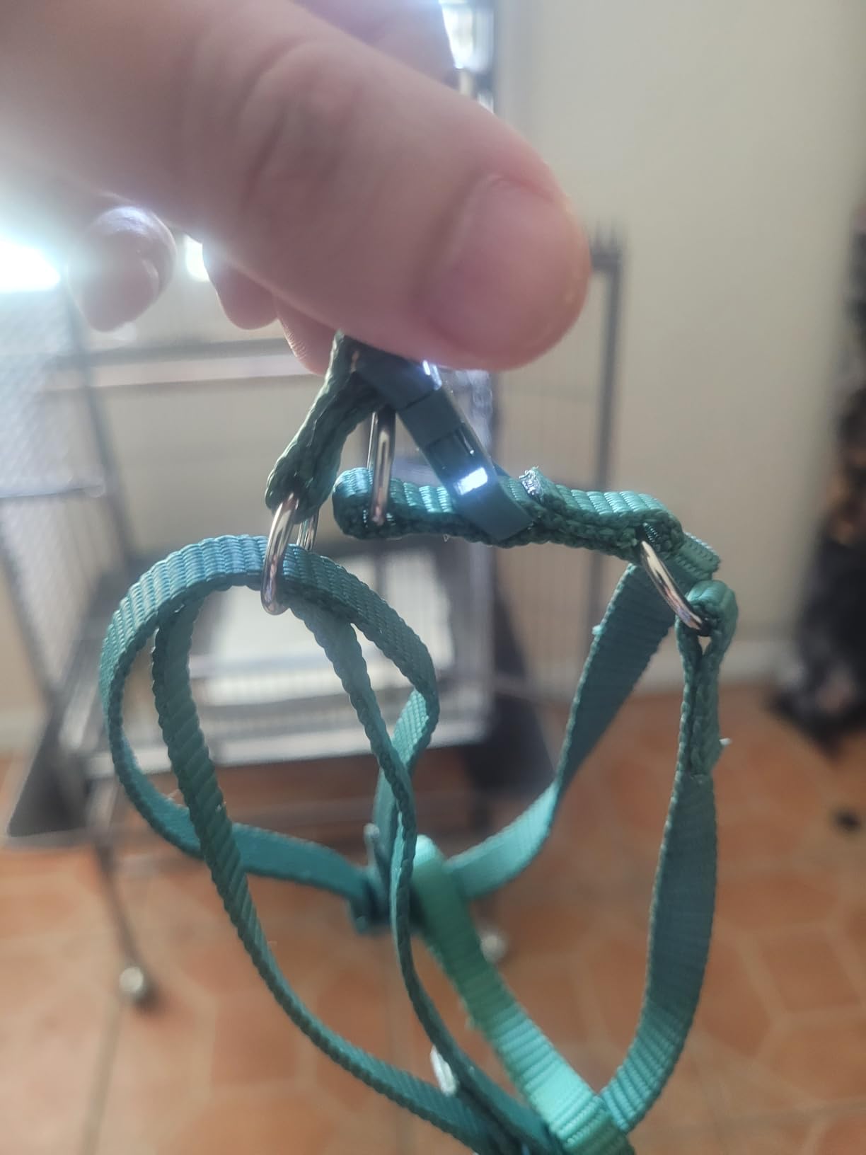 Adjustable Bird Harness and Leash for Yellow Naped Amazons Galah Cockatoos | Small to Medium Breed Parrots, Fits Birds Chest Between 26-40cm / 10.24-15.75inch - S customer photo 2