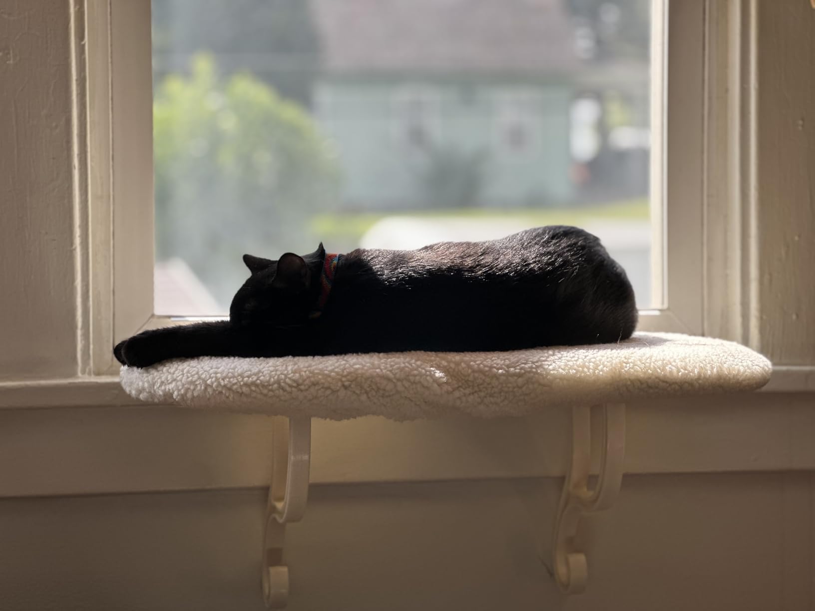 K&H Cat Window Perch, Unheated Kitty Sill, 24x14in, Fleece customer photo 1