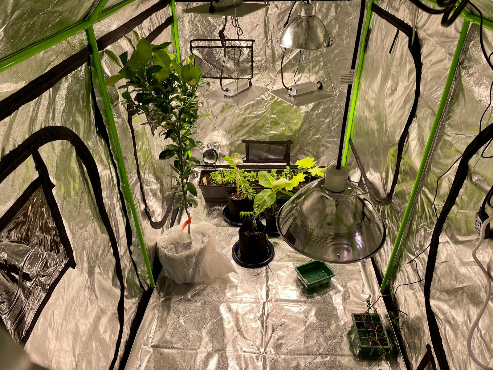 VIVOSUN 2-in-1 4x3 Grow Tent 48