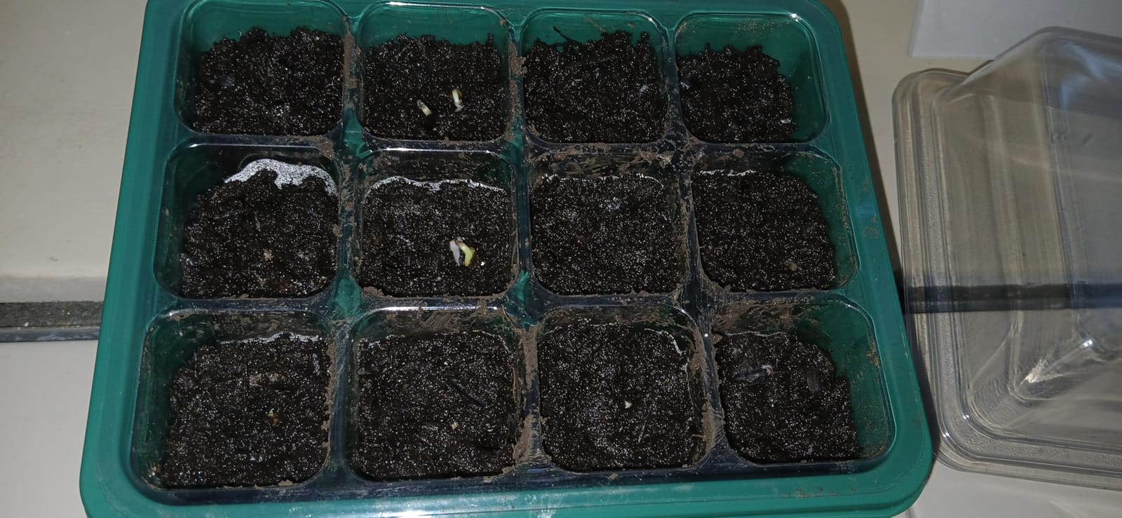 MIXC 10 Pack Seed Starter Tray, 120Cell Stater Kit with Humidity Dome Green customer photo 1