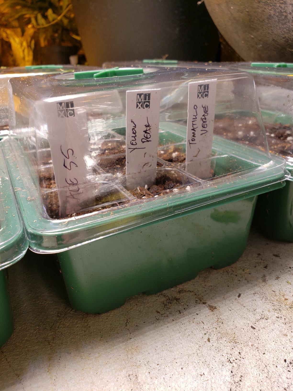 MIXC 10 Pack Seed Starter Tray, 120Cell Stater Kit with Humidity Dome Green customer photo 2