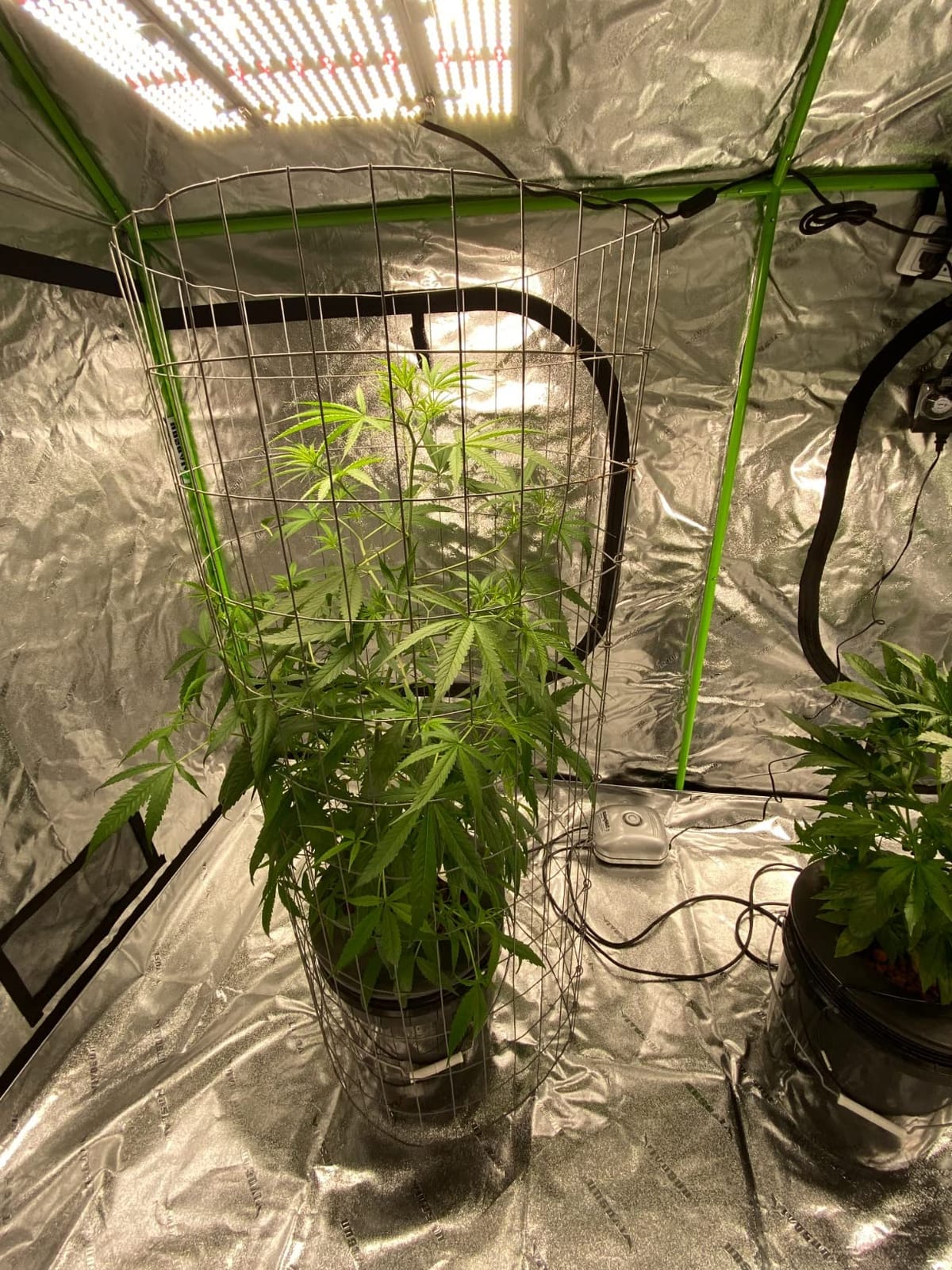 VIVOSUN S888 8x8 Large Grow Tent 96