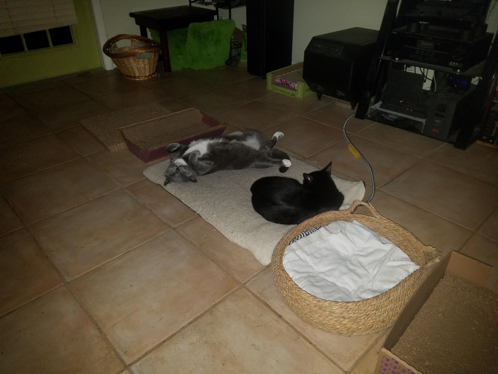 K&H Heating Pad, Lectro-Soft Outdoor Pet Bed, Safety Listed, 36x25in 60W customer photo 2