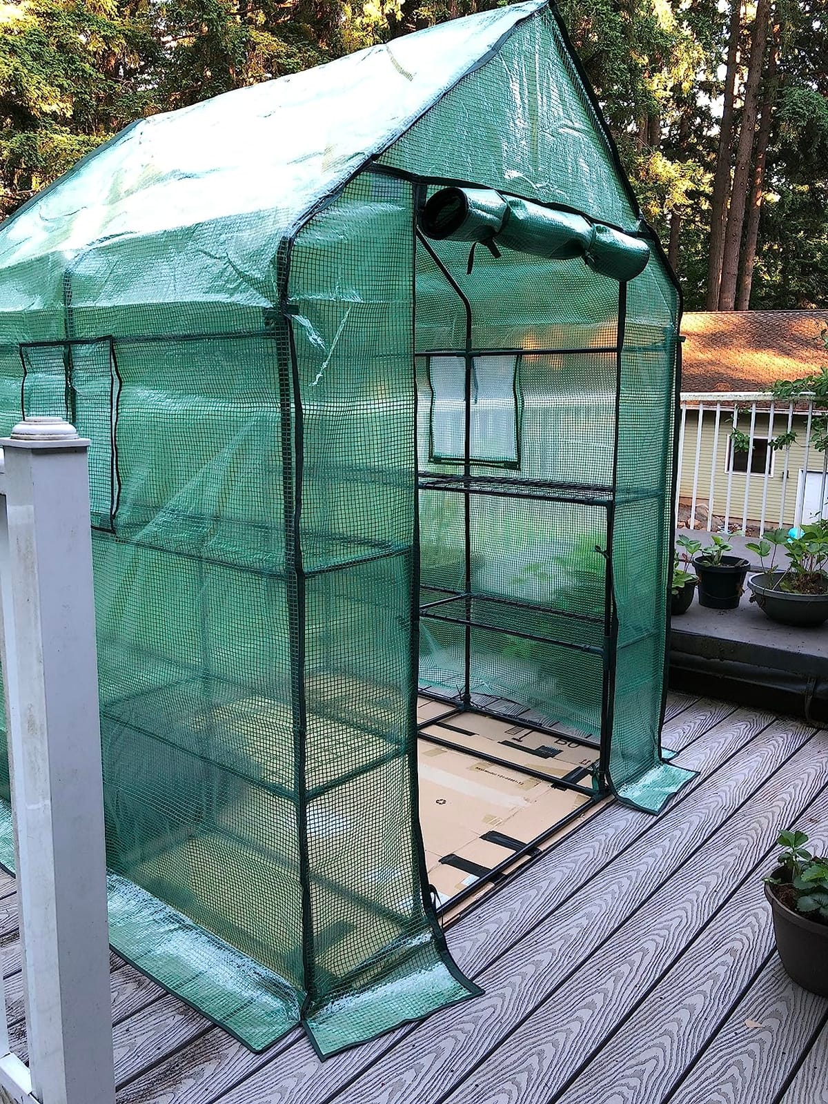 Ohuhu Greenhouse for Outdoors with Mesh Side Windows, 3 Tiers 4 Shelves Small Walk-In Green House Plant Stands Plastic PE Cover Outside Portable Warm House for Seedling Flowers Growing, 4.8x2.5x6.4 FT customer photo 1