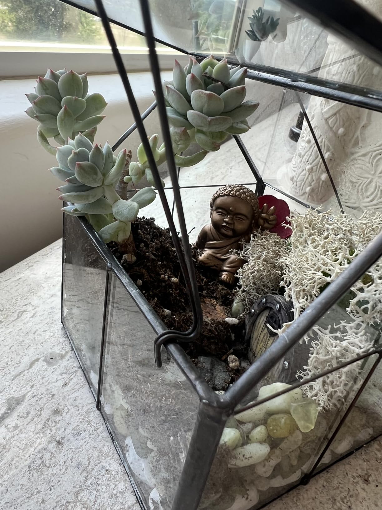 Ferrisland Glass Geometric Plant Terrarium, Clear Glass Succulent customer photo 1