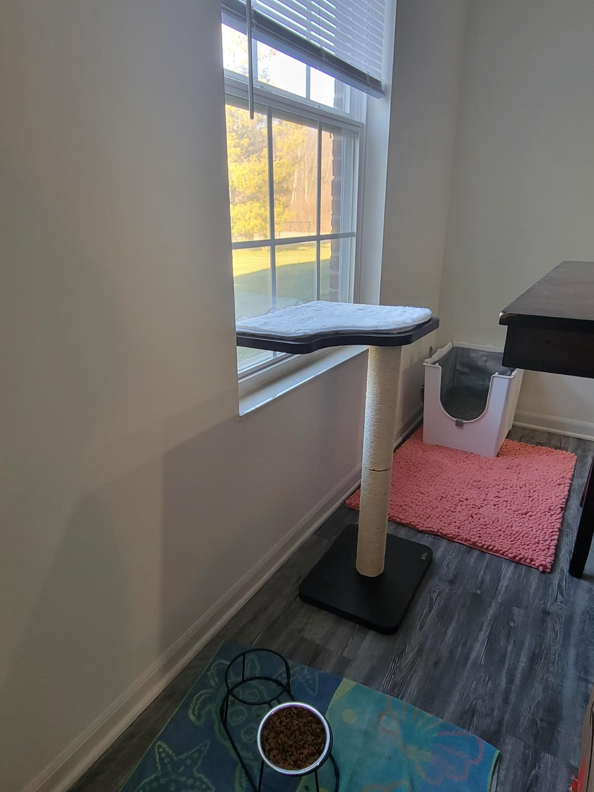 PetFusion Ultimate Cat Window Climbing Perch 45” Tall (Tree Sisal Scratching Posts, Modern Design Simply Suctions to Window. (EASY TO ASSEMBLE) customer photo 1