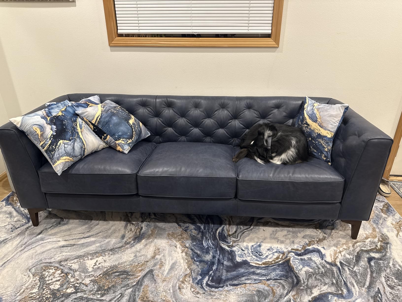 POLY & BARK Essex 89” Full-Grain Italian Leather Sofa – Tufted Back, Feather-Down Comfort, Solid Wood Frame, Midnight Blue customer photo 2