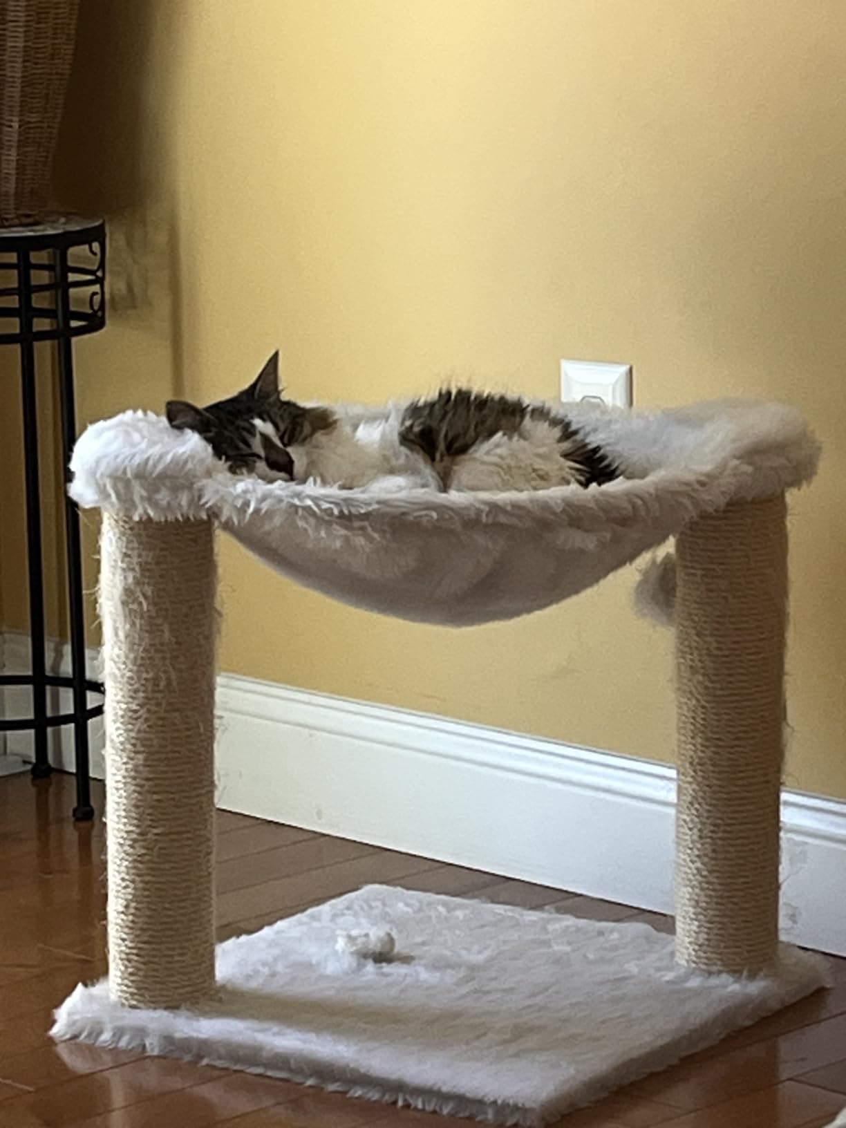 TRIXIE Baza Senior Cat Tree with Hammock and Steps | Scratching Posts | Cat Playground | Gray Medium customer photo 1