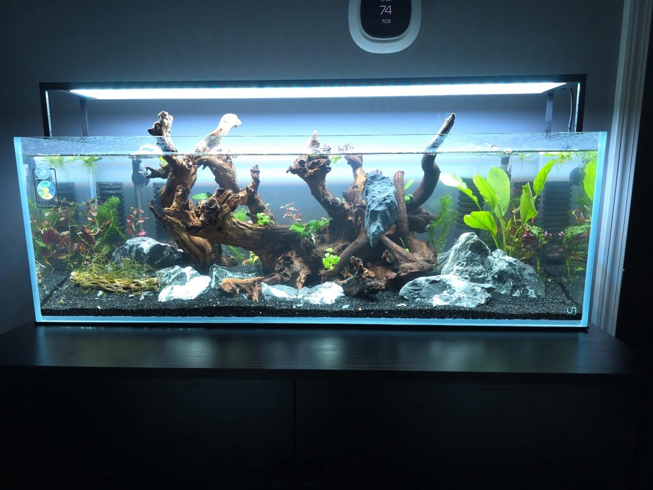 UNS Ultra Clear Rimless Tank - 21.3GAL | 81L - 35.43x11.81x11.81 | 90x30x30 CM, 8mm Glass Thickness, Leveling Mat Included - Low Iron, High Clarity Fish Tank w/ 45° Mitered Edge - [90L] customer photo 2