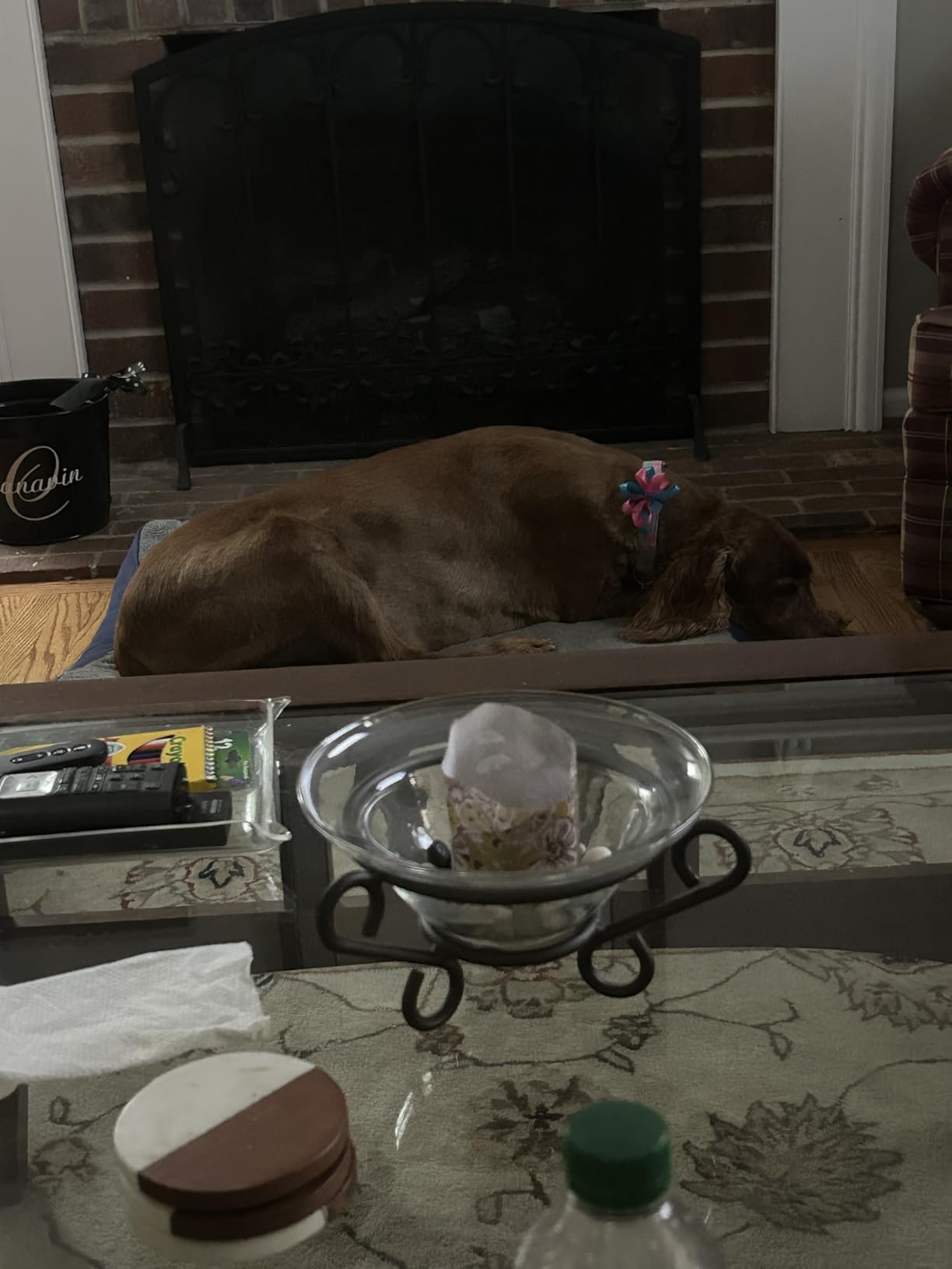 Bedsure Washable Dog Beds Large Sized Dog with Comfy Sherpa, 36x27in Grey customer photo 2