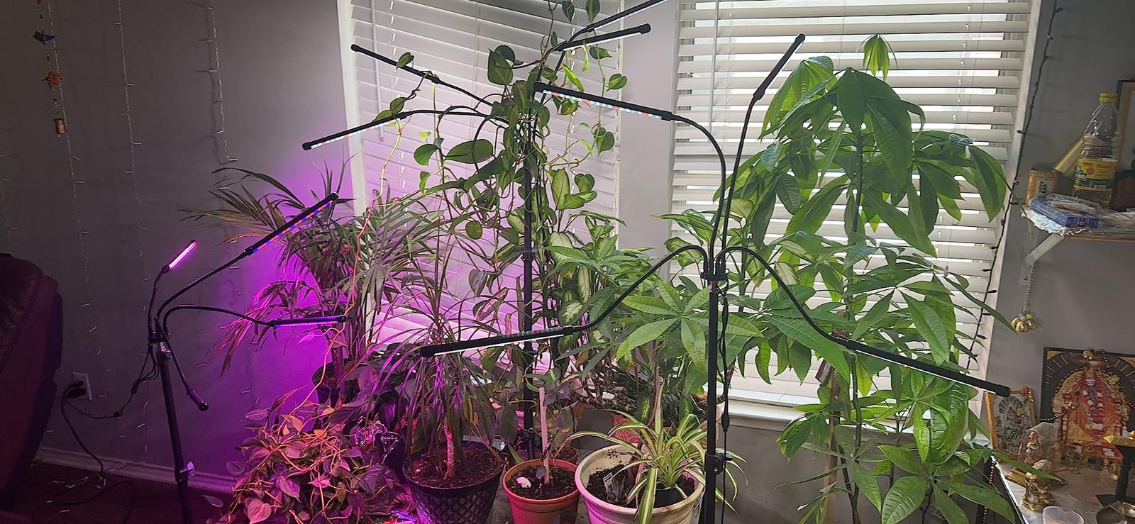 GHodec Grow Light Free Standing, 5500K Full Spectrum Gooseneck LED Lamp customer photo 2