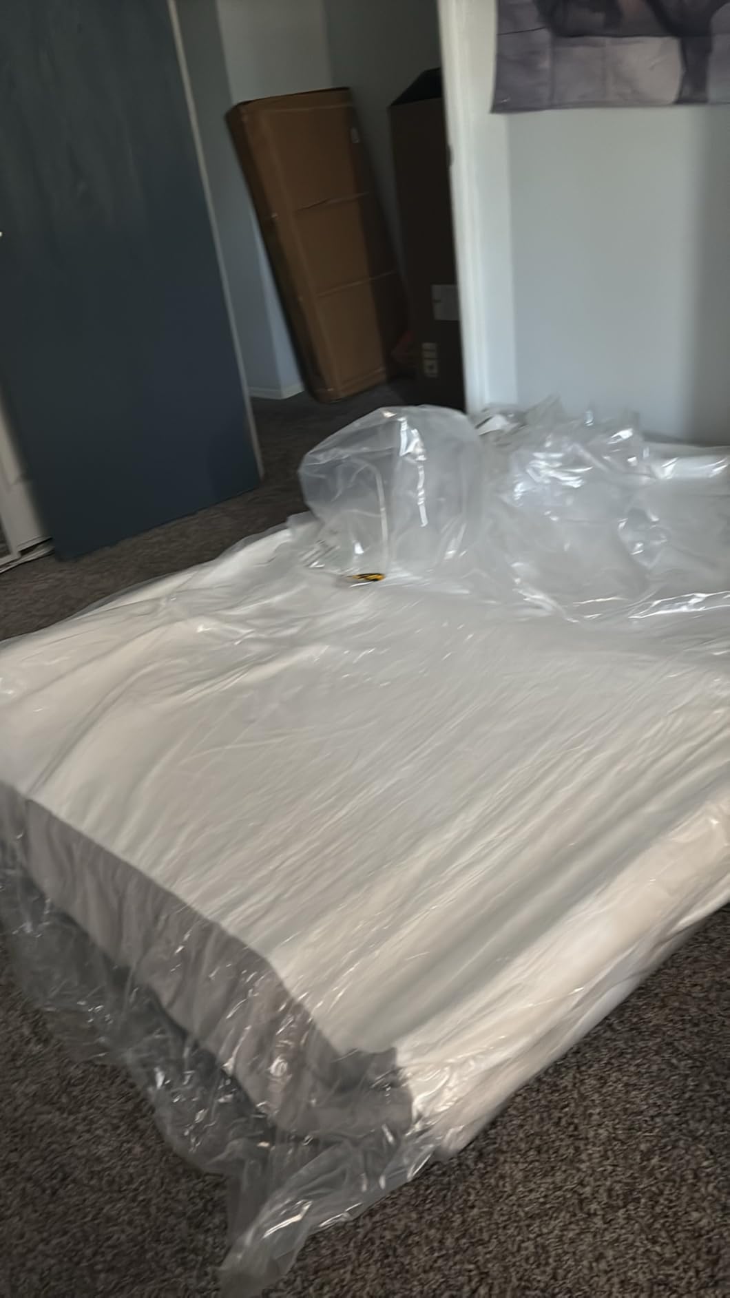 Amazon Basics Memory Foam Mattress, Soft Plush Feel, Breathable, 6 Inch, Twin, White/Grey customer photo 1