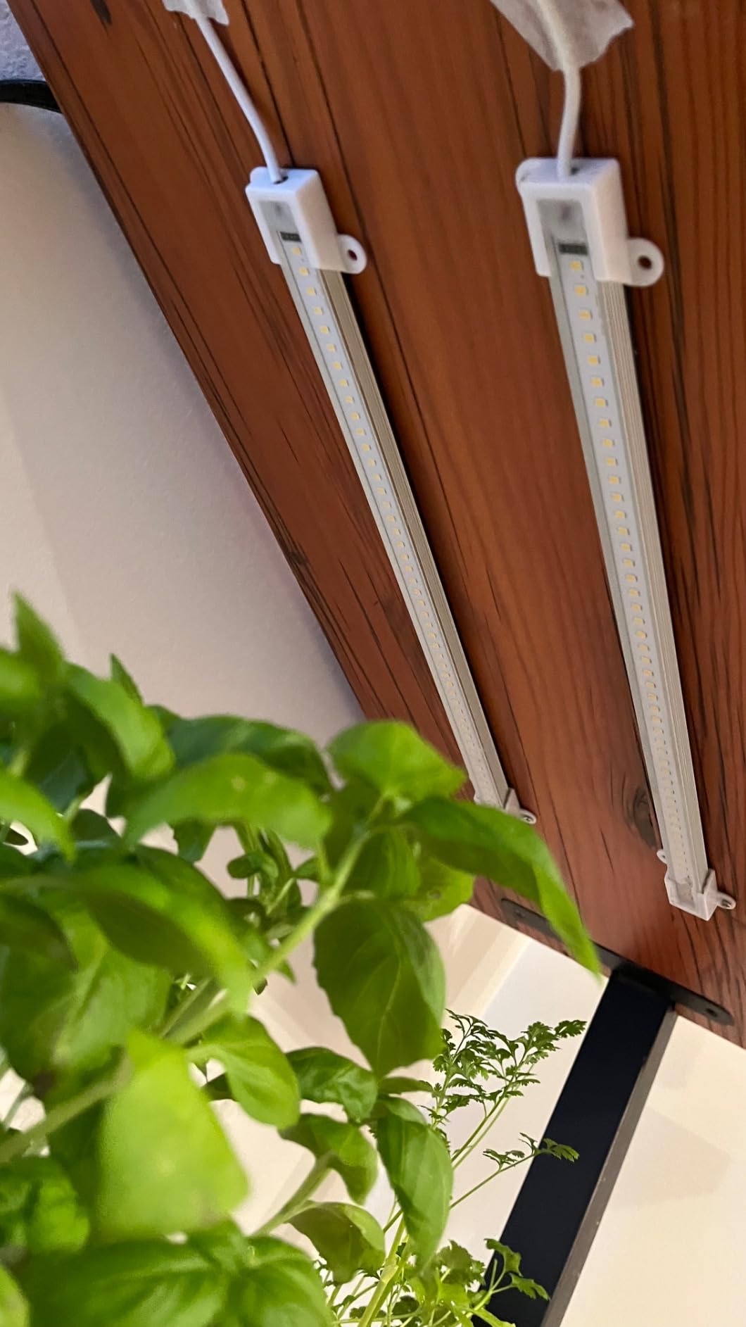 LED Plant Grow Light Strip Full Spectrum for Indoor Plant with Timer customer photo 2