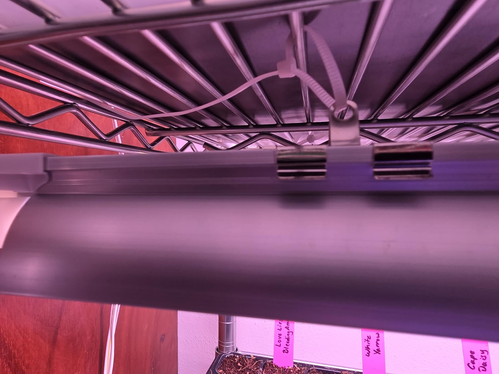 Barrina 4FT T8 Plant Grow Light, 42W Full Spectrum LED Growing Lamp, 6 Pack customer photo 2