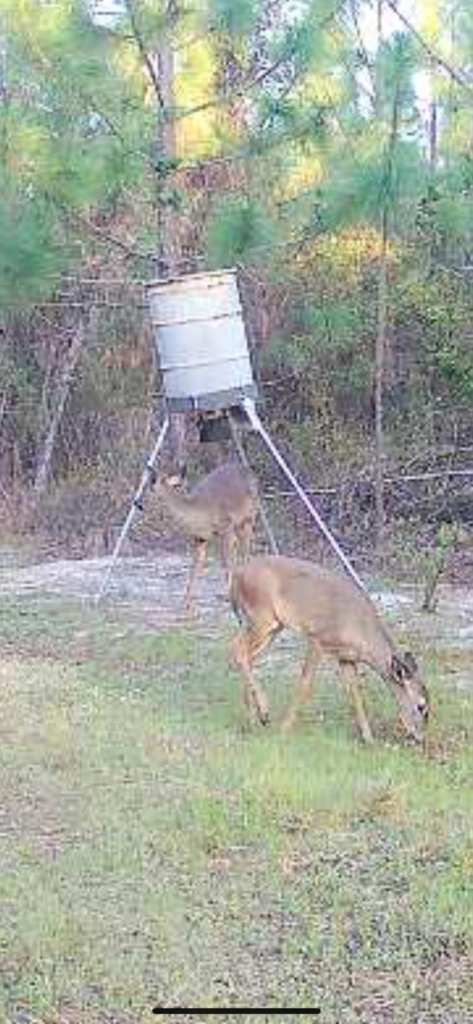 Highwild Deer Feeder 55 Gallon Barrel Band Leg Mounting Kit customer photo 1