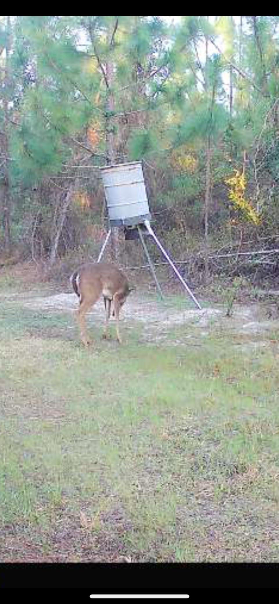 Highwild Deer Feeder 55 Gallon Barrel Band Leg Mounting Kit customer photo 2