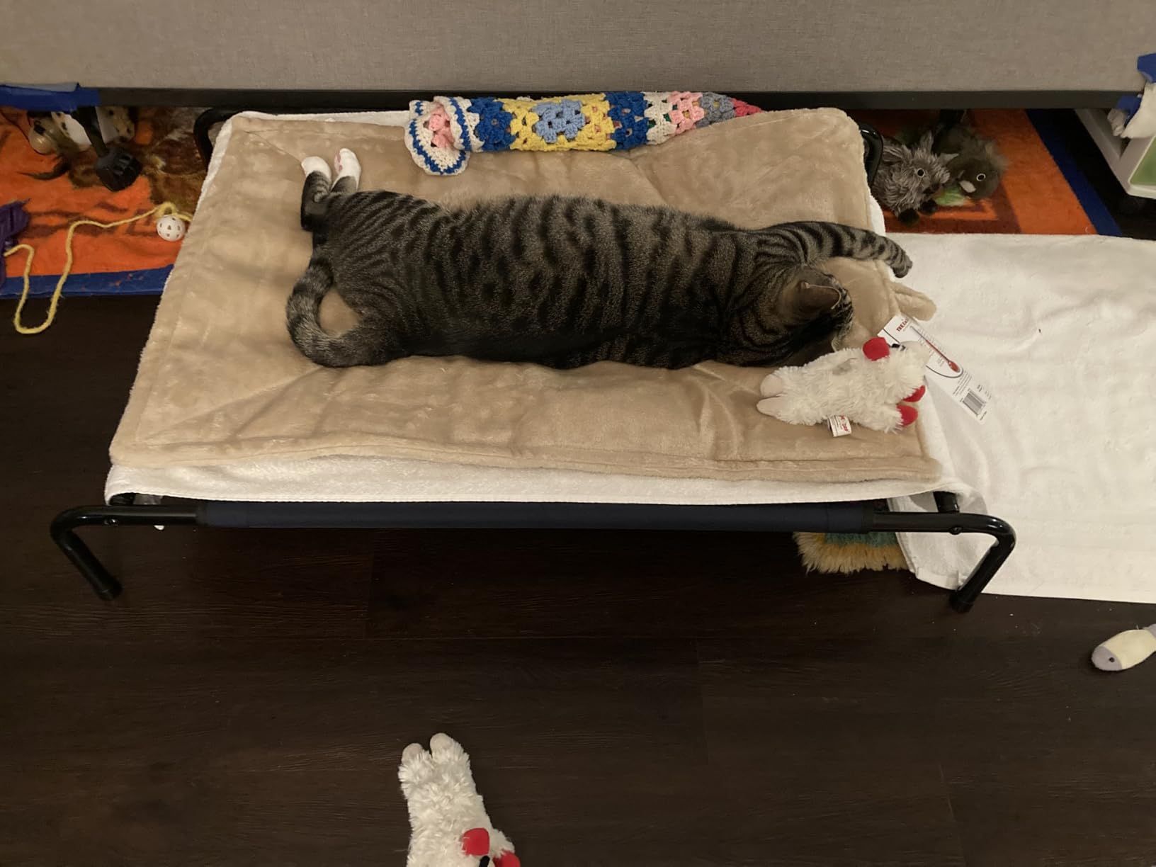 Furhaven ThermaNAP Self-Warming Cat Bed for Indoor Cats & Large/Medium Dogs, Washable & Reflects Body Heat - Quilted Faux Fur Reflective Bed Mat - Gray, Large customer photo 1
