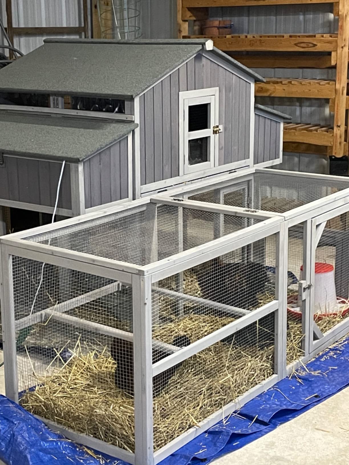 Aivituvin Walk in Chicken Coop, Chicken House Coop, Chicken Coop for 8 Chickens, Outdoor Poultry Duck Enclosure Small Animal Playpen - Easy Clean PVC Layer Included customer photo 1