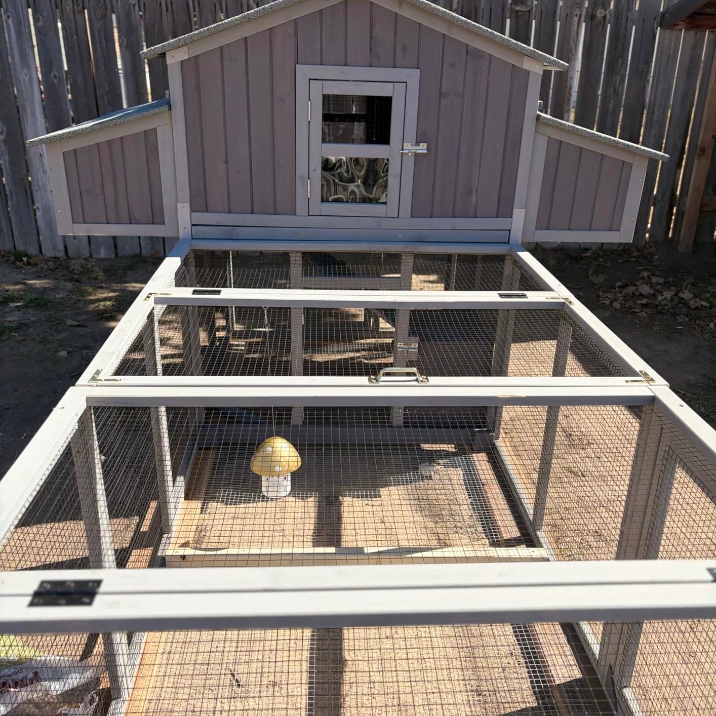 Aivituvin Walk in Chicken Coop, Chicken House Coop, Chicken Coop for 8 Chickens, Outdoor Poultry Duck Enclosure Small Animal Playpen - Easy Clean PVC Layer Included customer photo 2