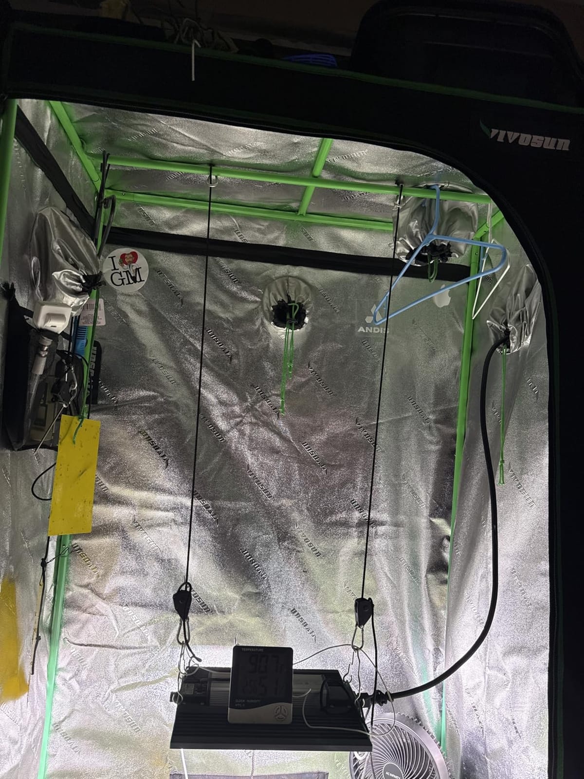 250 Watt Plant Lights for Indoor Growing, Full Spectrum LED Grow Lights customer photo 1