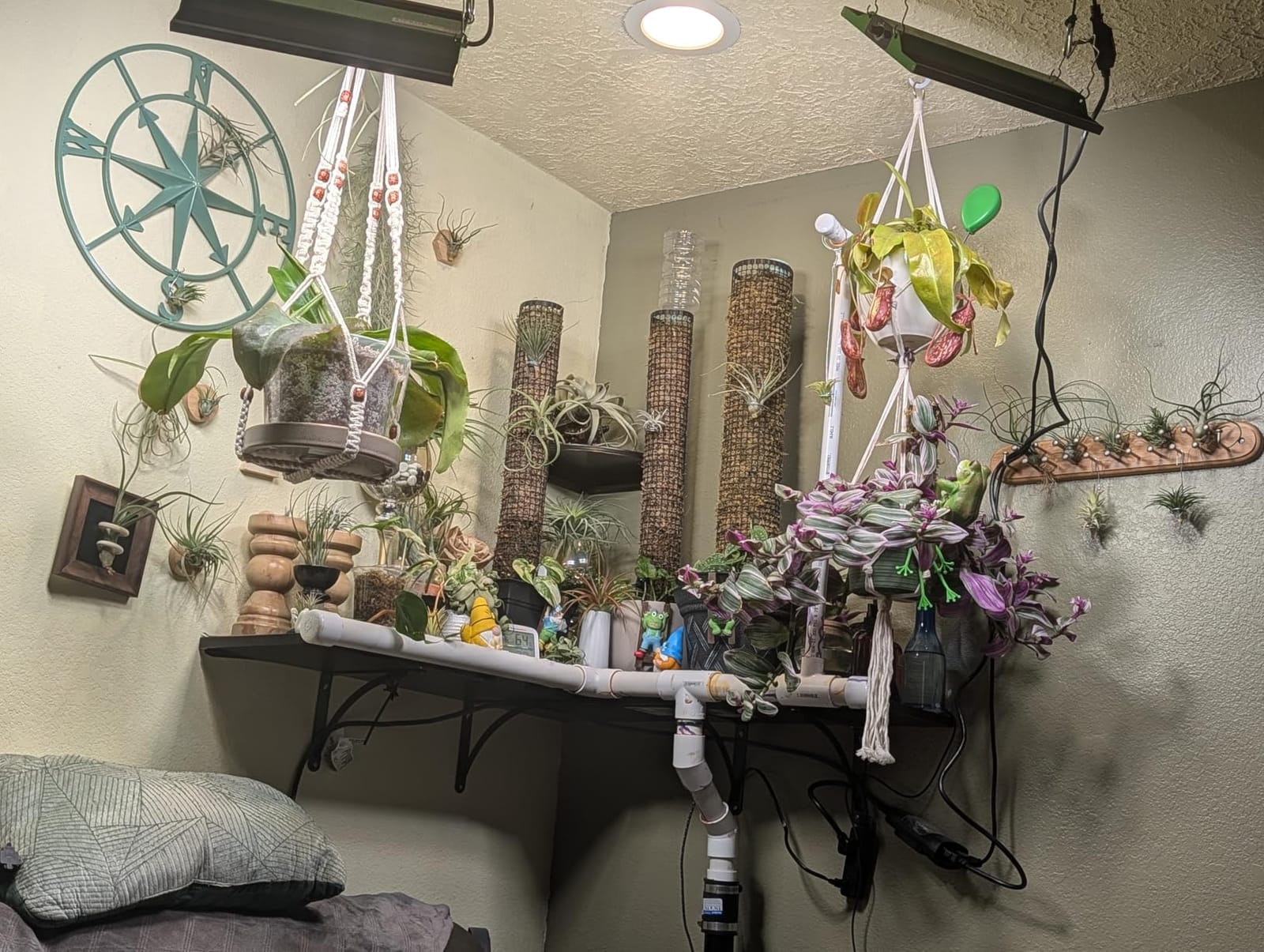 250 Watt Plant Lights for Indoor Growing, Full Spectrum LED Grow Lights customer photo 2