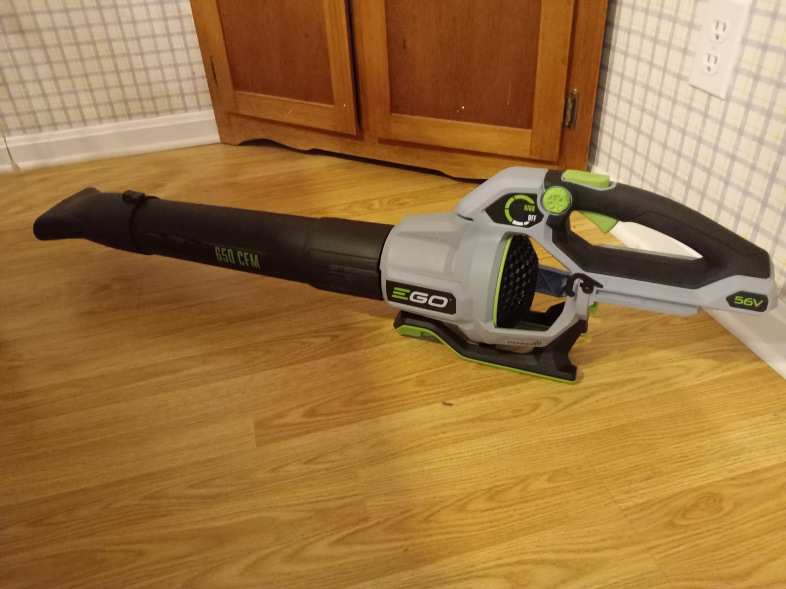 EGO POWER+ Cordless Electric Leaf Blower, 650 CFM, With Battery - LB6504 customer photo 2