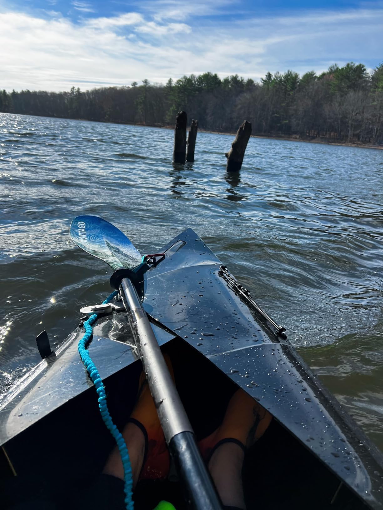 Kayak Paddle, Adjustable and Lightweight Kayaking Oar customer photo 2