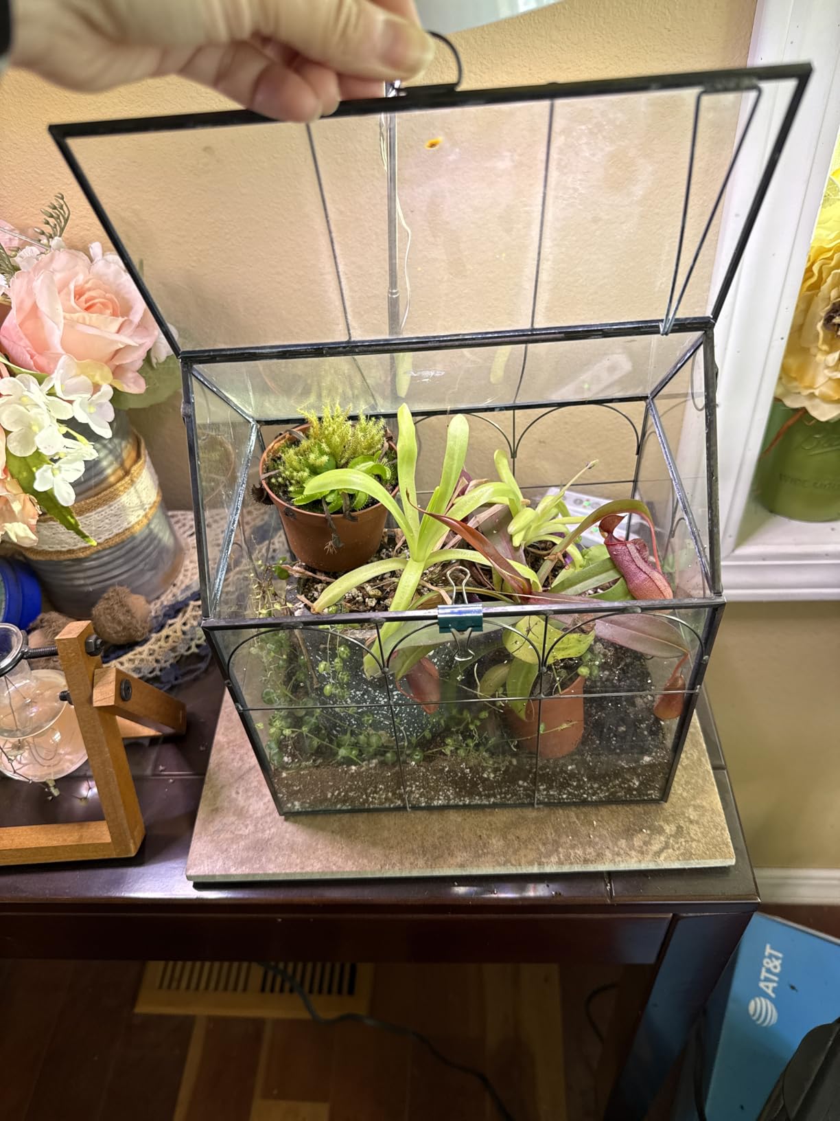 Large Tall Plant Greenhouse Terrarium Glass with Lid, 8.7