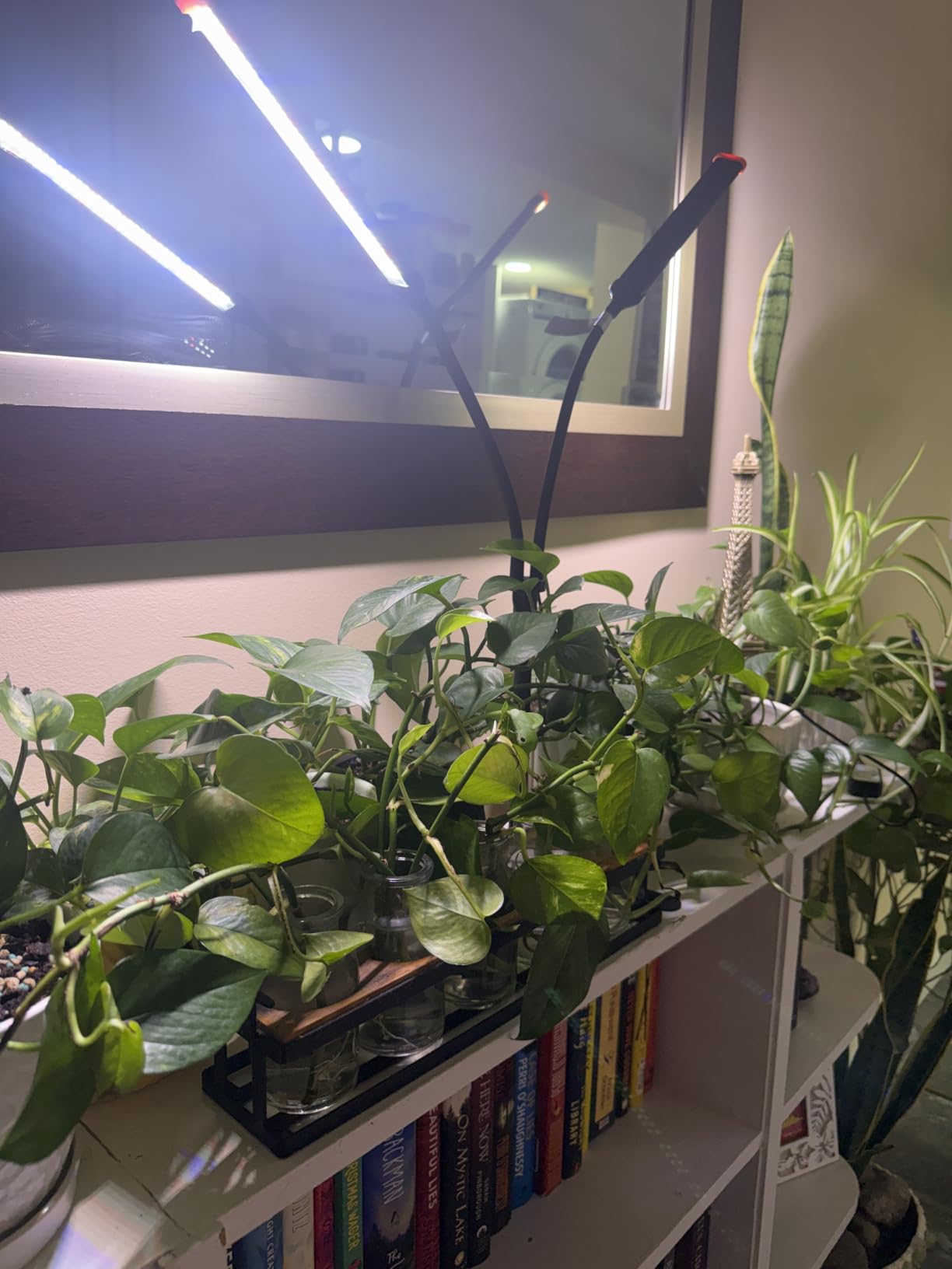GooingTop Grow Light for Indoor Plants,Height 10-32'' with Dimming & Timer customer photo 1