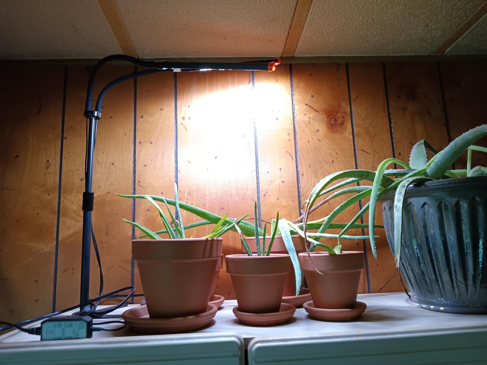 GooingTop Grow Light for Indoor Plants,Height 10-32'' with Dimming & Timer customer photo 2