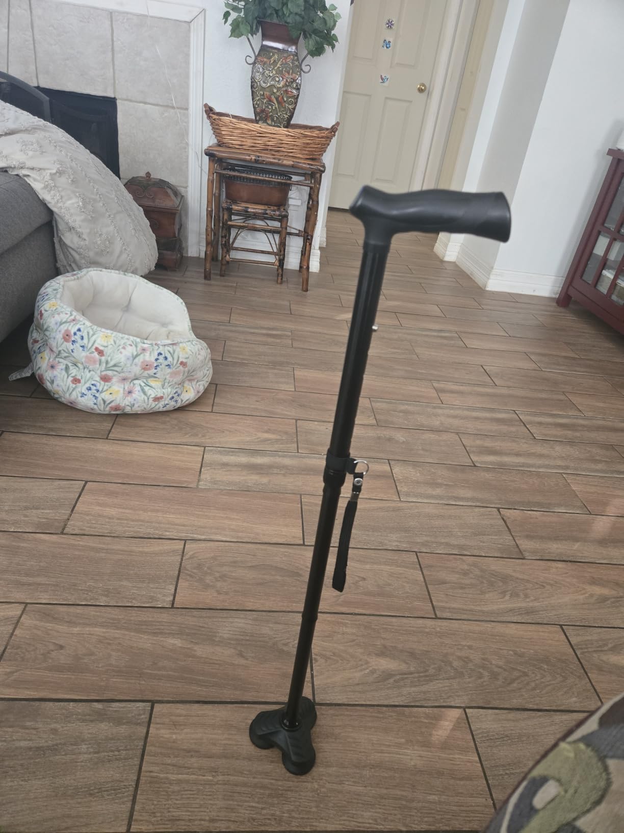 HONEYBULL Walking Cane for Men & Women, Foldable Free Standing Cane customer photo 2