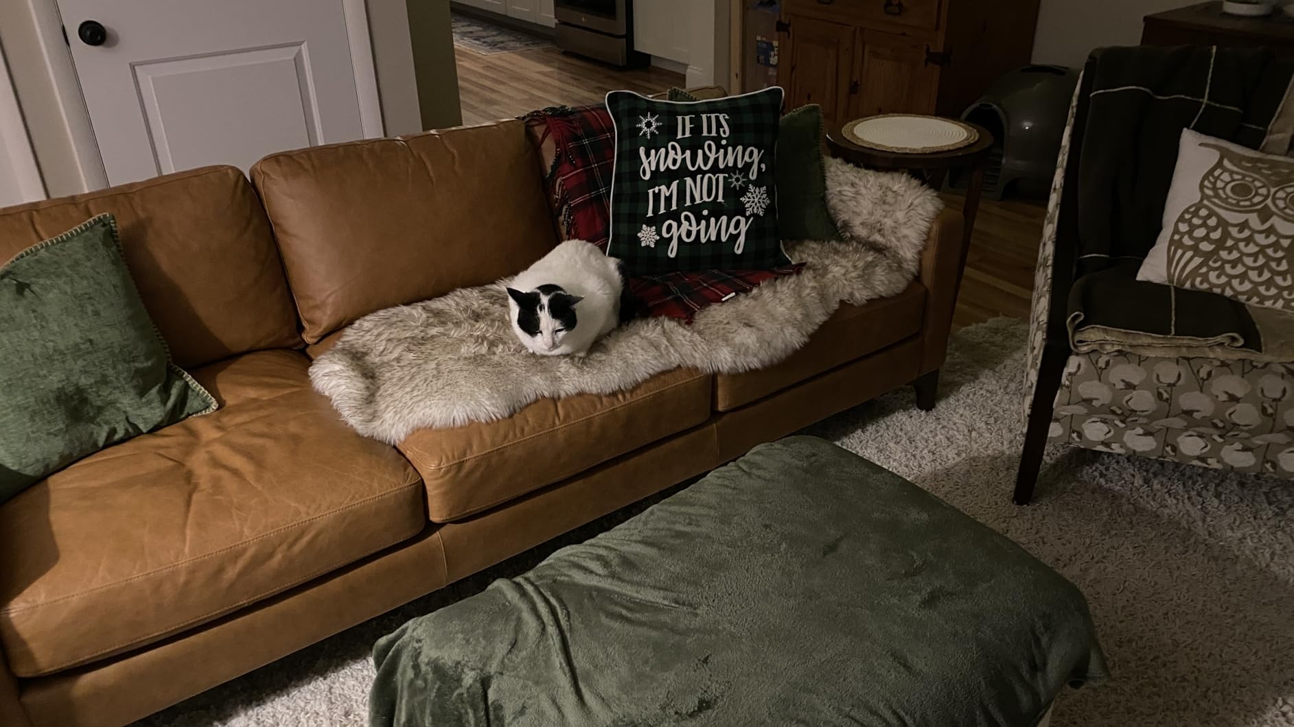 POLY & BARK Canale Sofa – 86