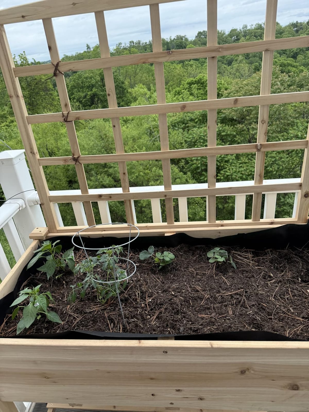 GIANTEX Raised Garden Bed on Wheels, Wood Planter Box with Legs, Liner, Drain Holes, Elevated Garden Bed for Vegetables, Standing Garden Container for Backyard, Patio, 47.5
