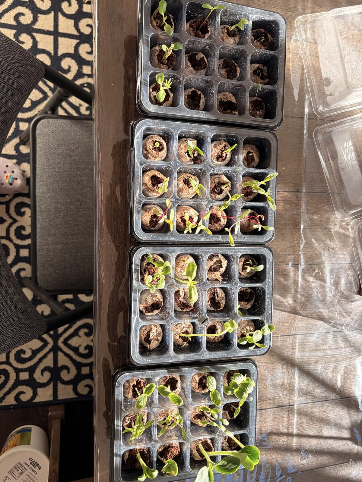 Seed Starter Tray with Peat Pellets, Black Seeding Starter Trays for Plant customer photo 1